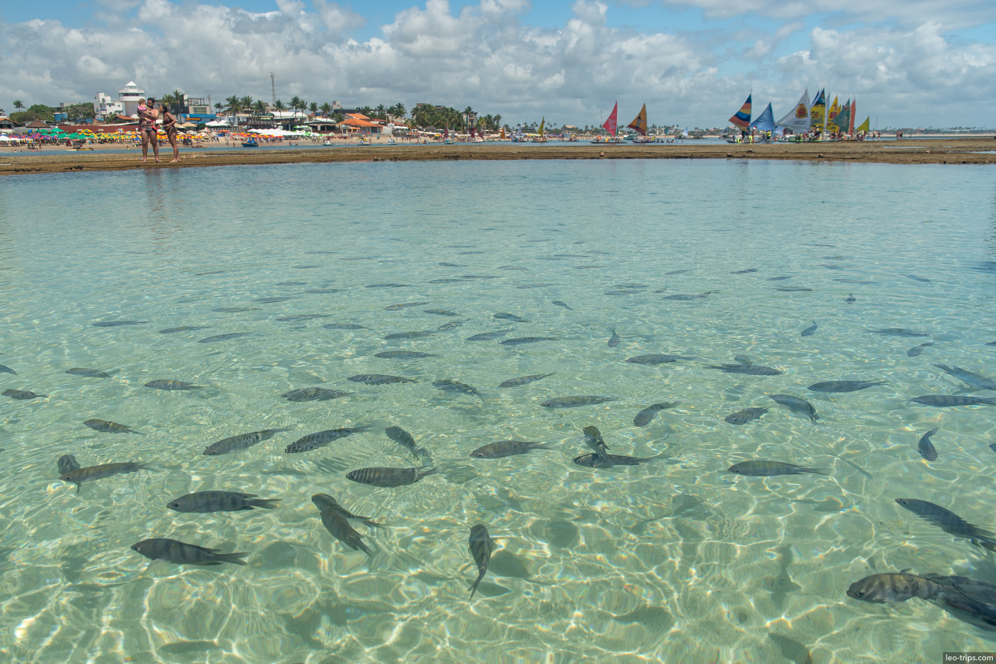 natural pools with fish and jangadas porto de galinhas porto de galinhas