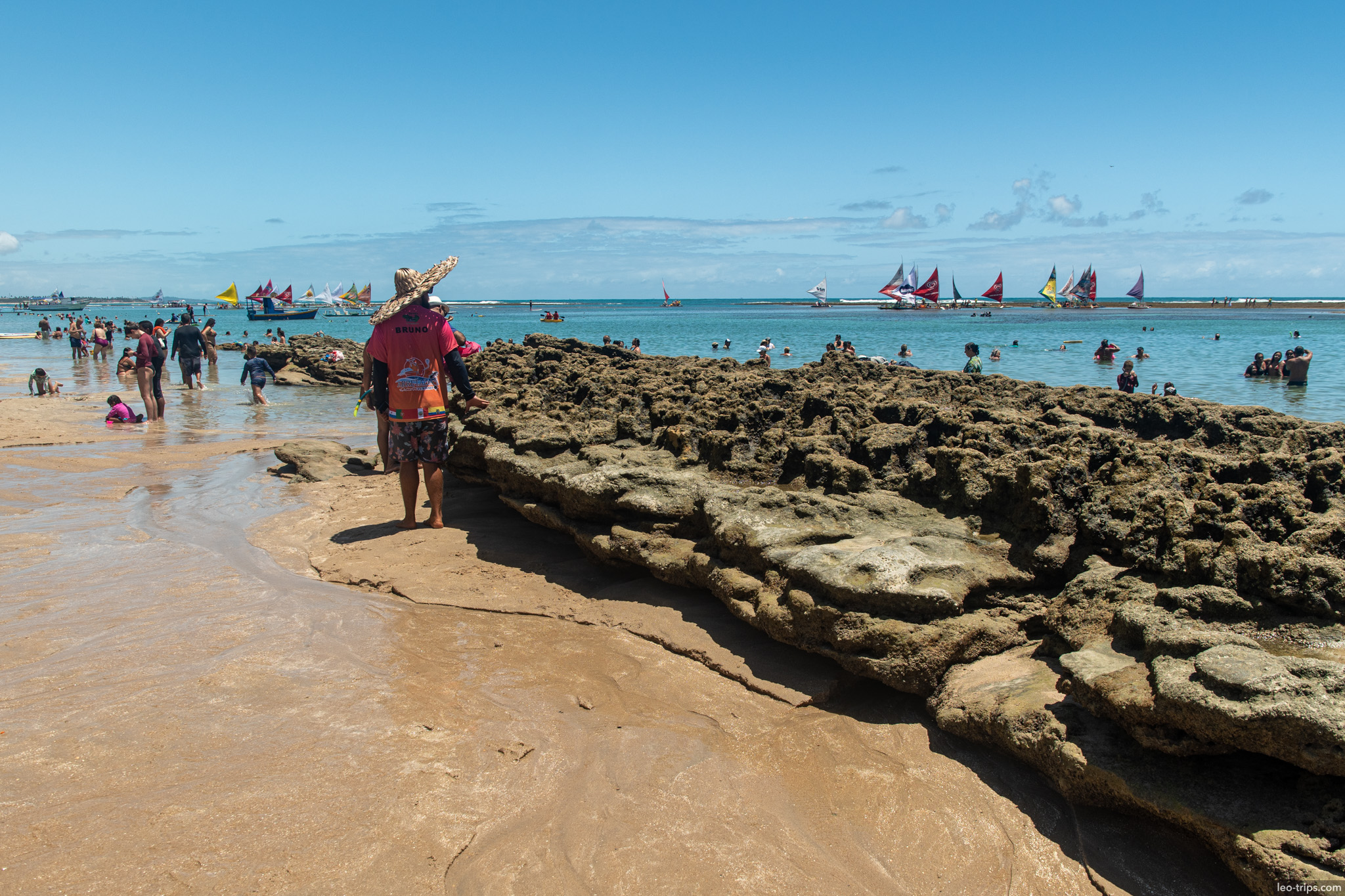 reef rocks at low tide with jangadas background porto de galinhas