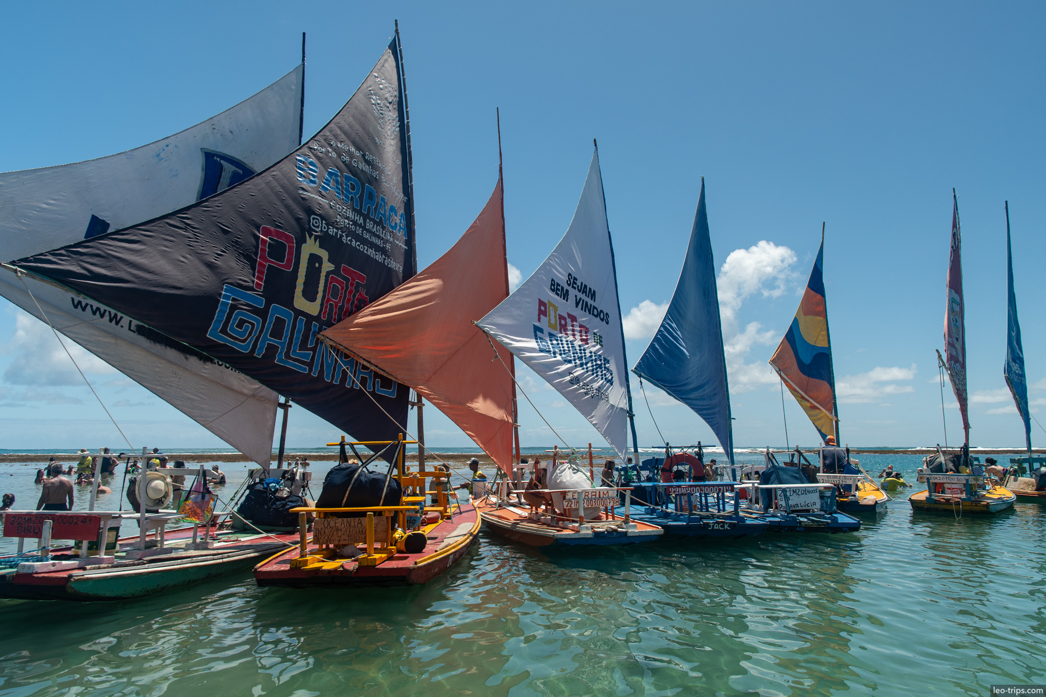 row of jangadas colorful sails on reef flat porto de galinhas