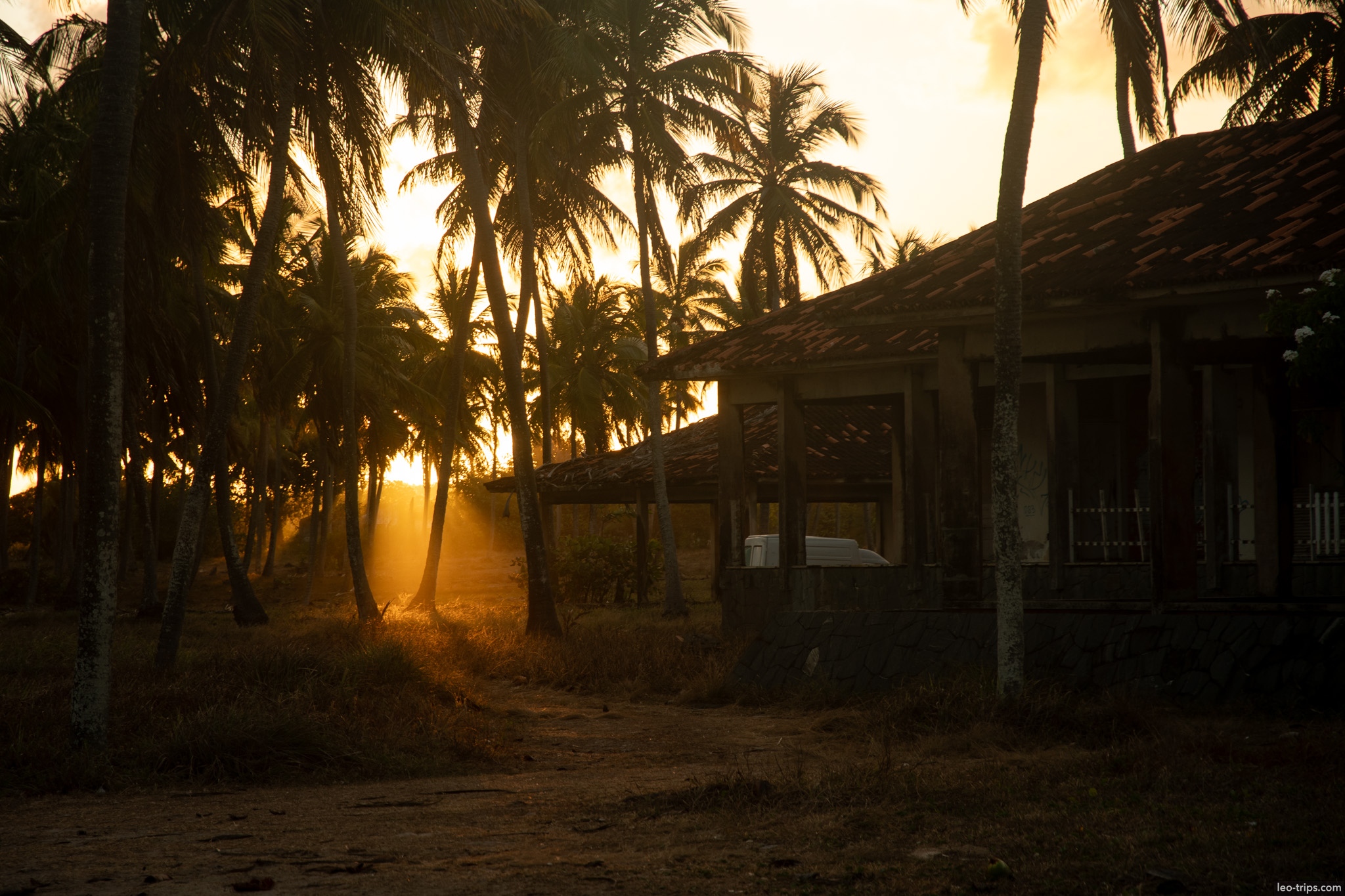 tiled roof house among palms at sunset porto de galinhas