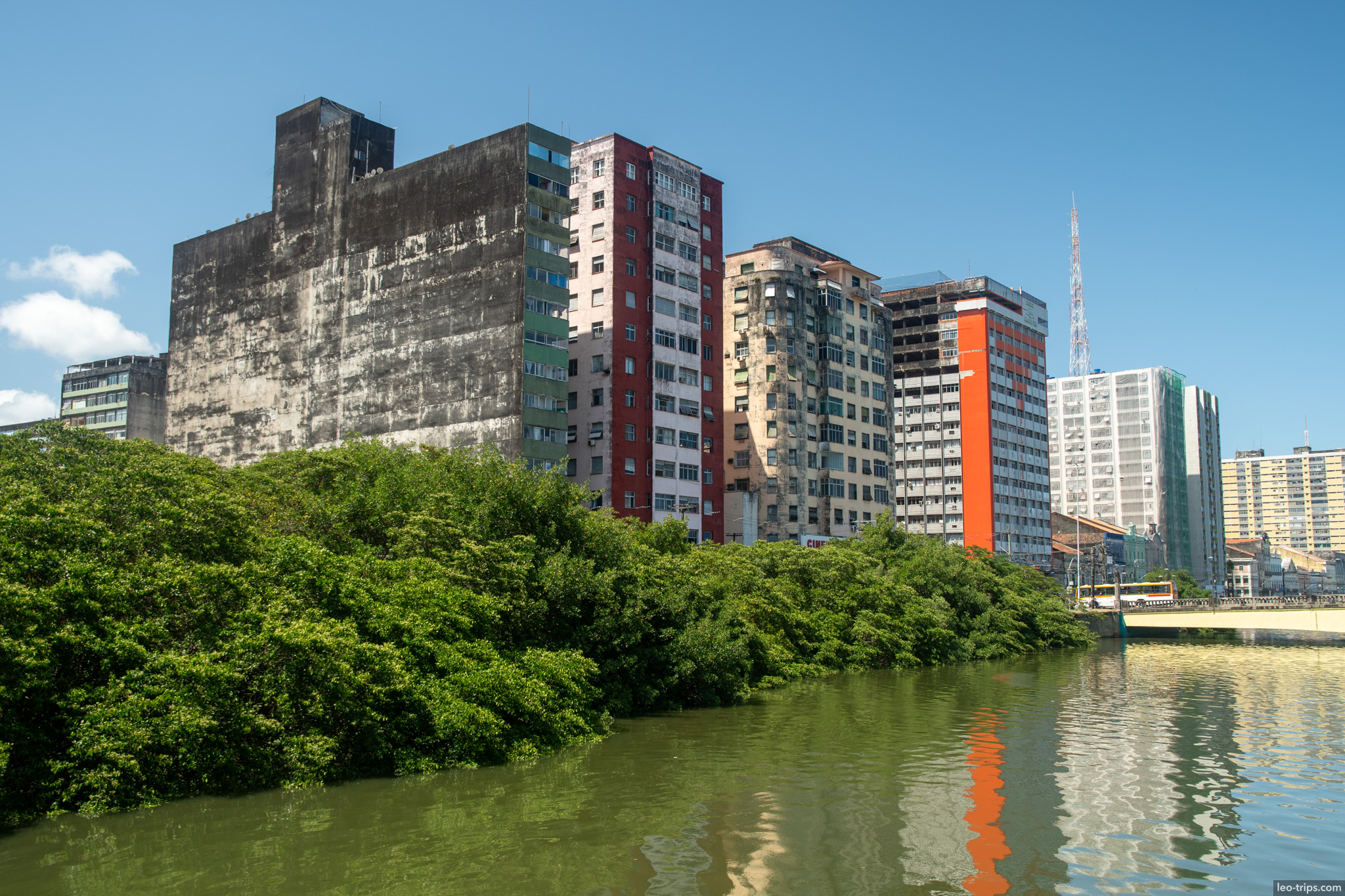 aging buildings mangrove capibaribe river recife recife