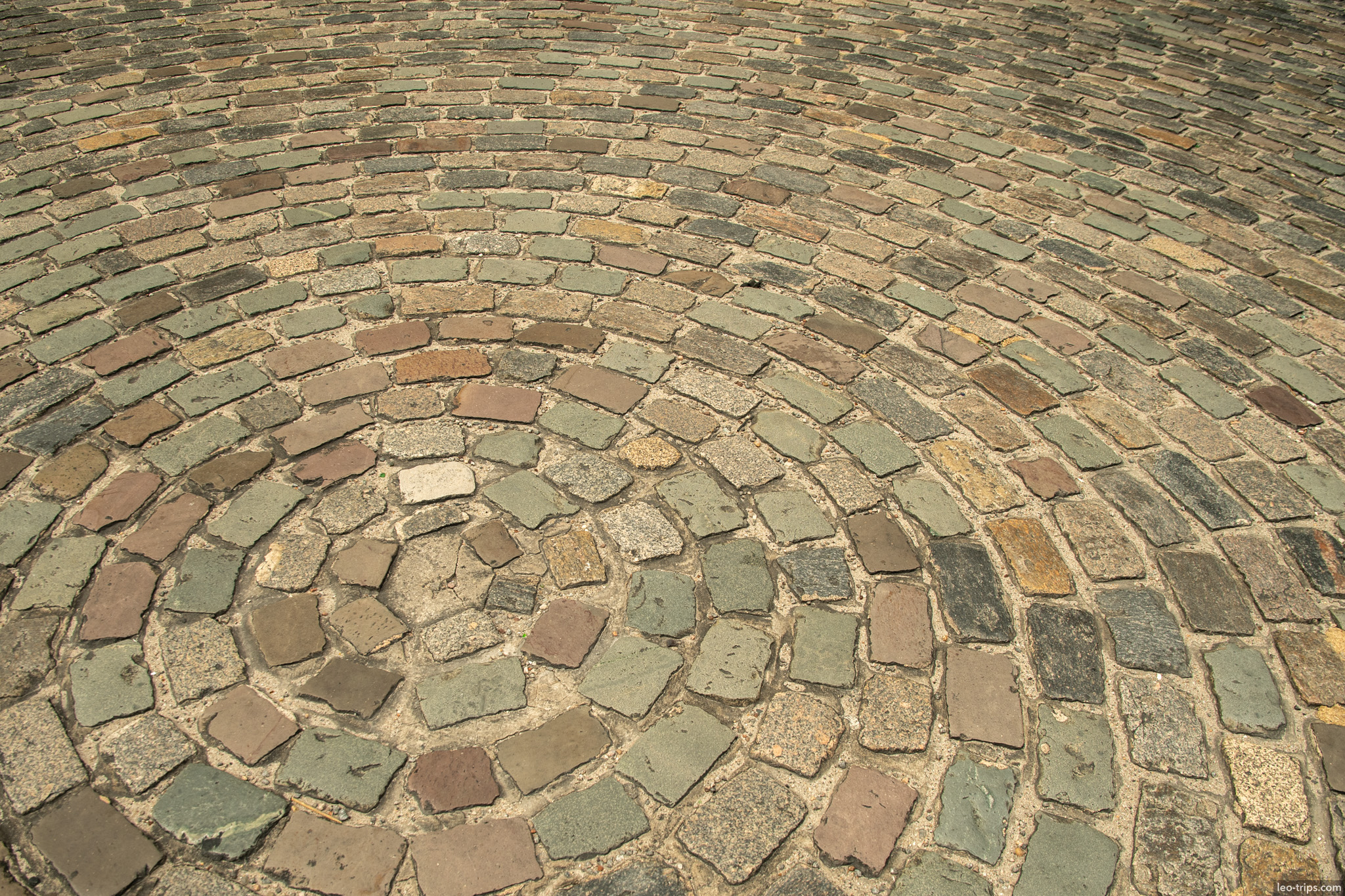 circular cobblestone paving pattern recife antigo recife