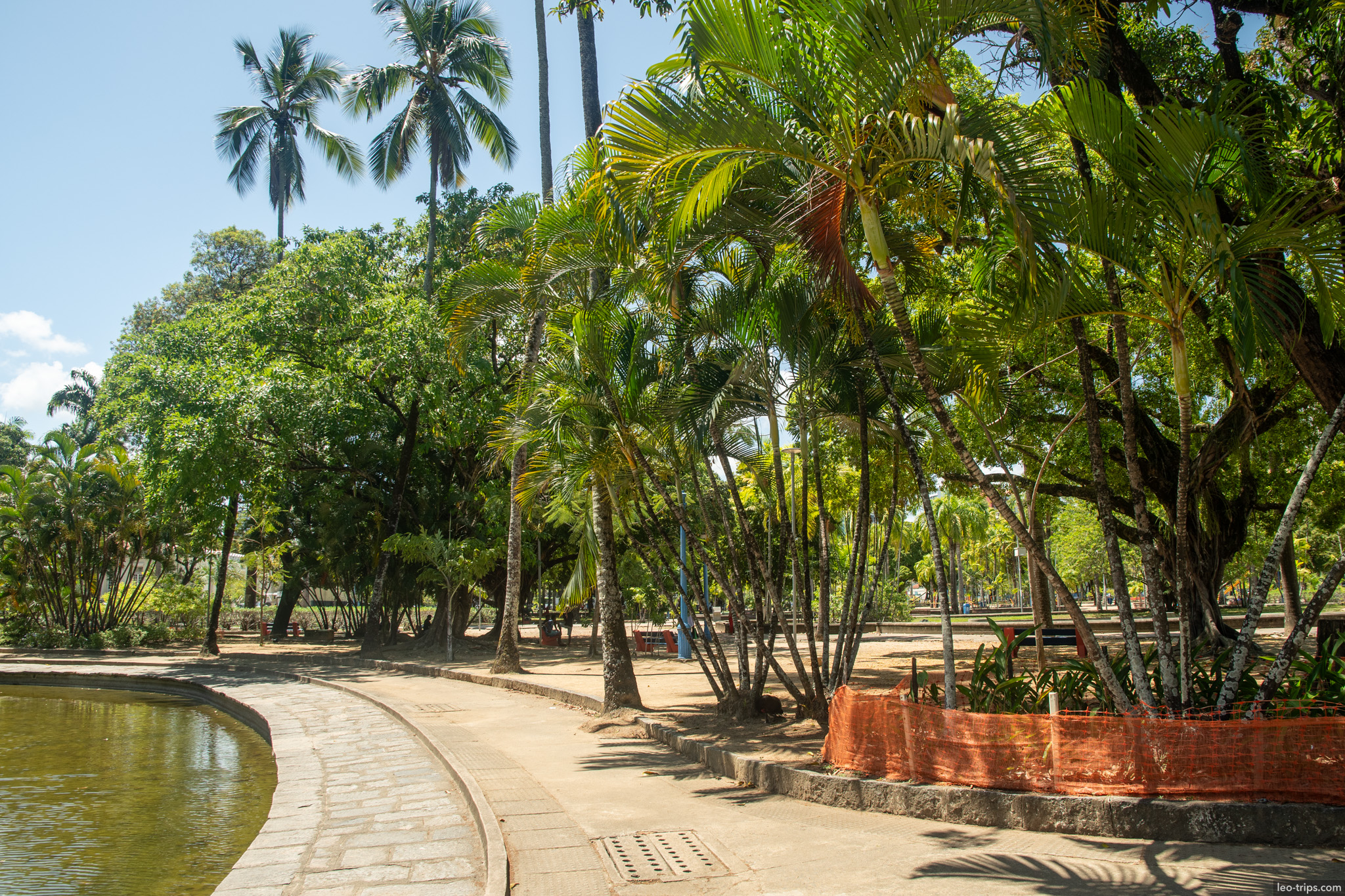 parque da jaqueira tropical garden pond recife recife