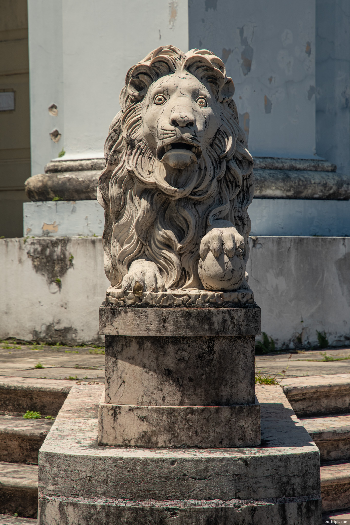 stone lion sculpture colonial building entrance recife recife