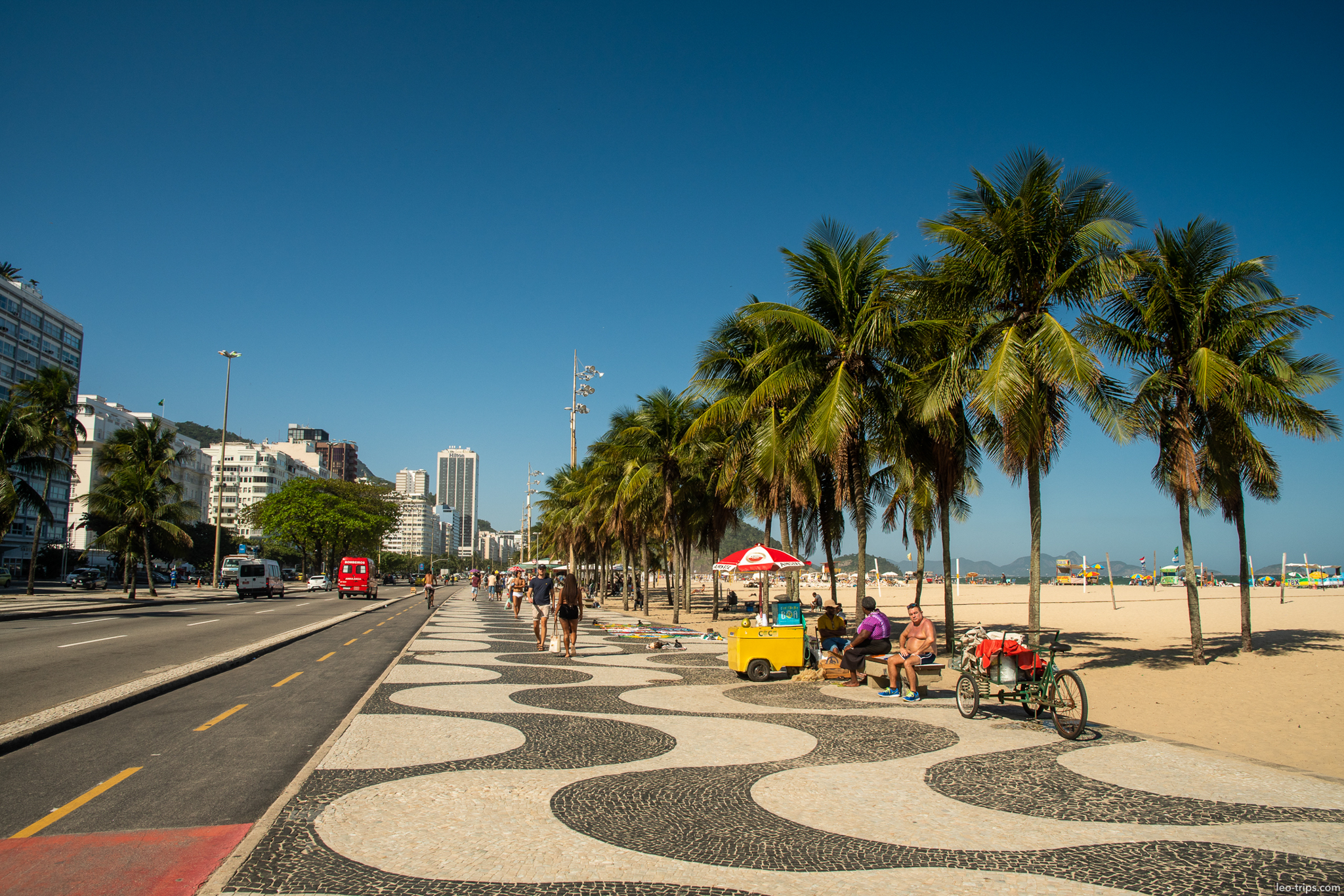 copacabana promenade mosaic sidewalk palm trees rio de janeiro