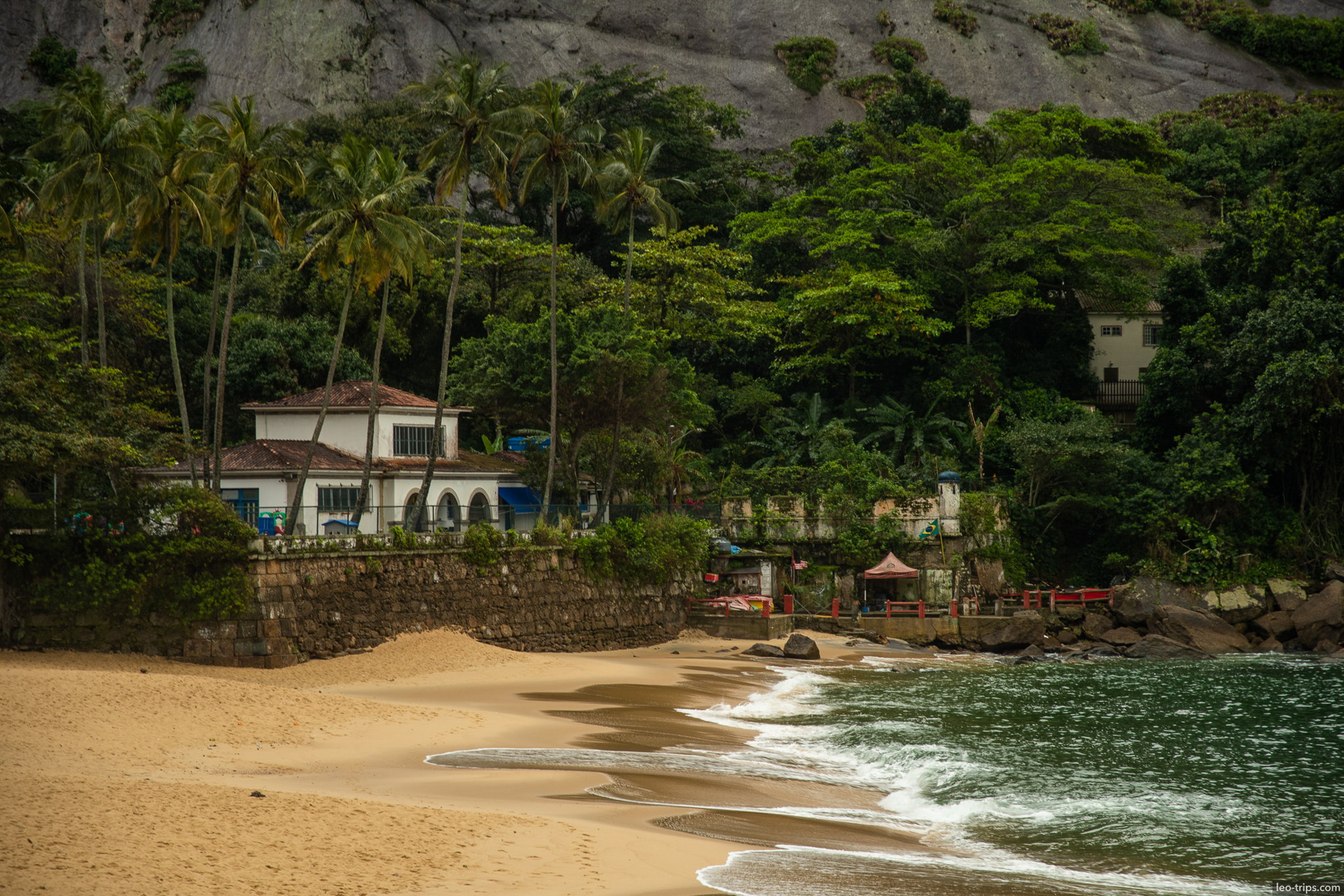 secluded beach palm trees tropical vegetation rio rio de janeiro