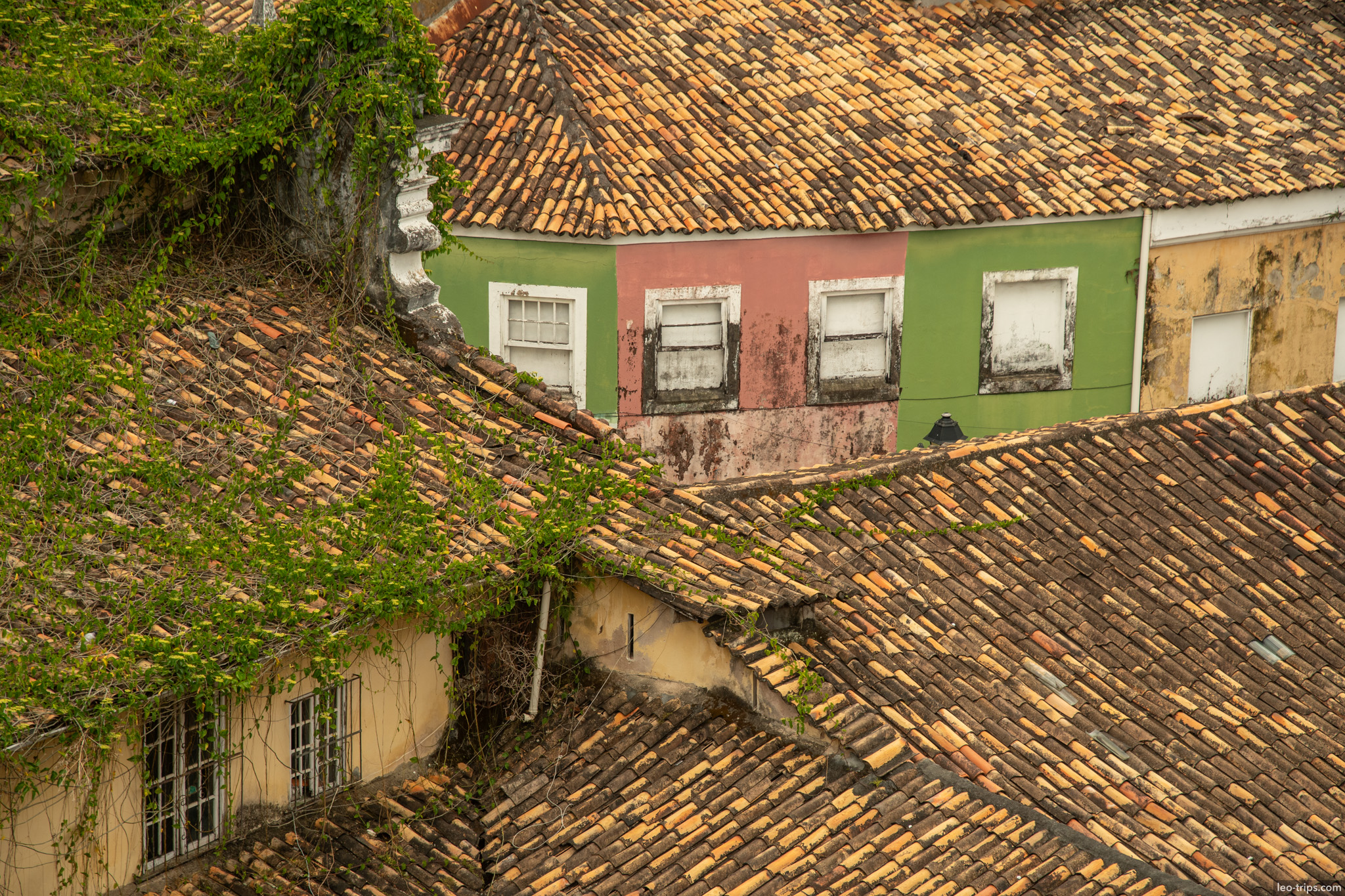 colonial rooftops tiles green pink facade pelourinho salvador