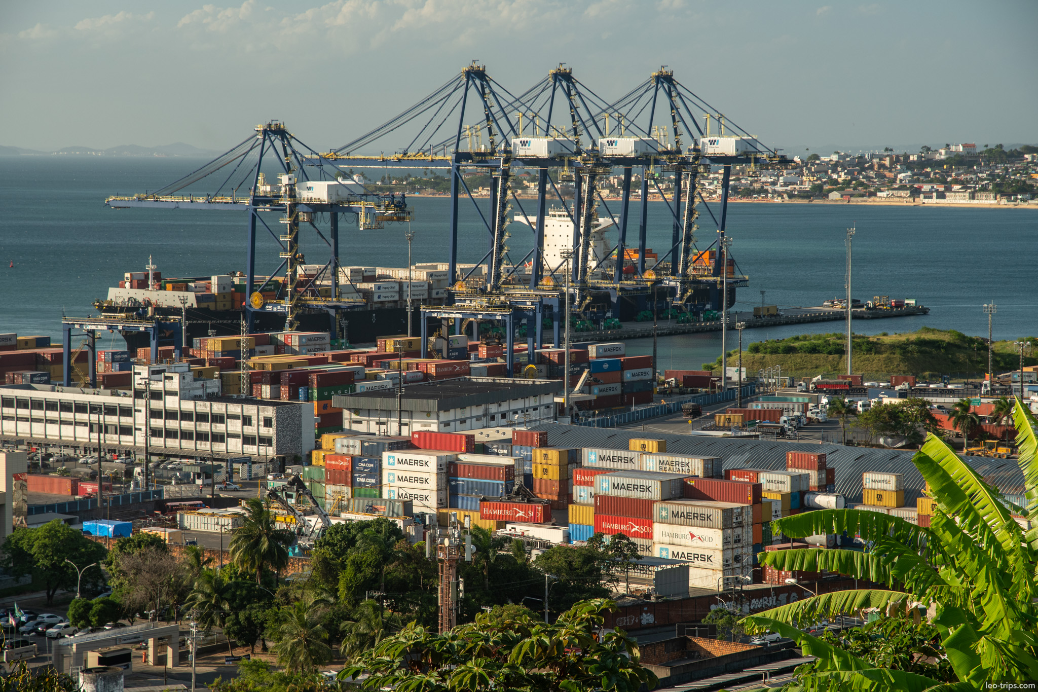 container port cranes cargo ships bay salvador salvador