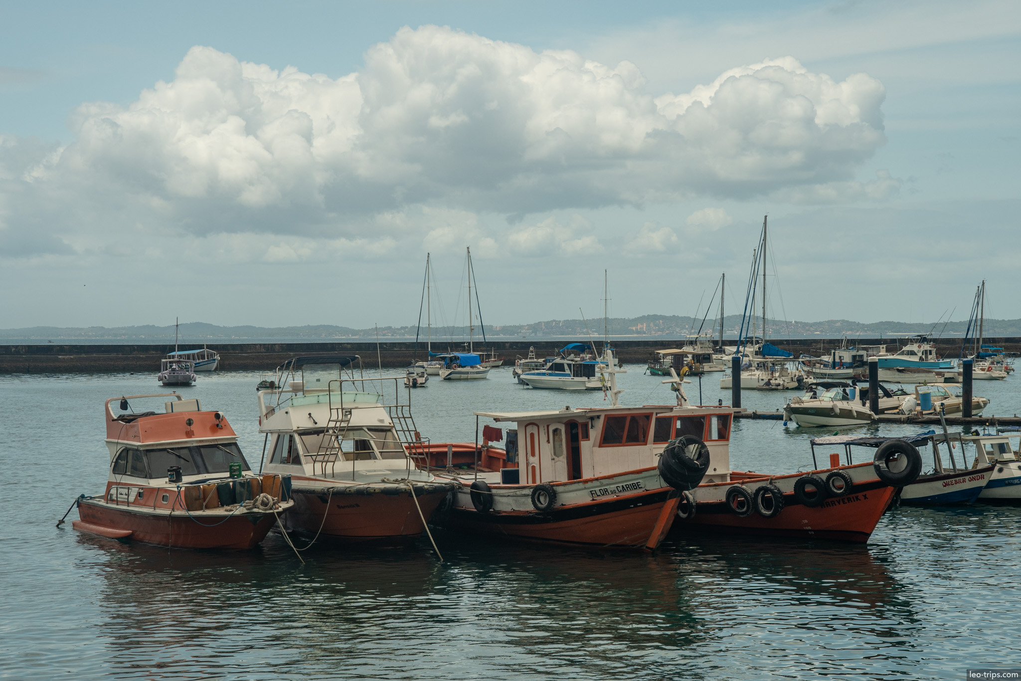 fishing boats moored marina bay salvador salvador