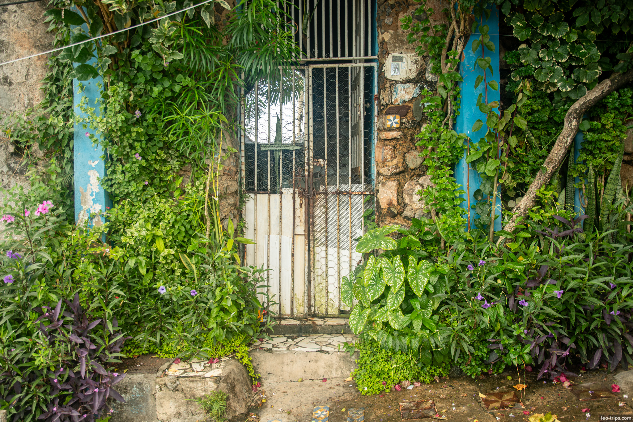 overgrown tropical garden gate blue pillars salvador
