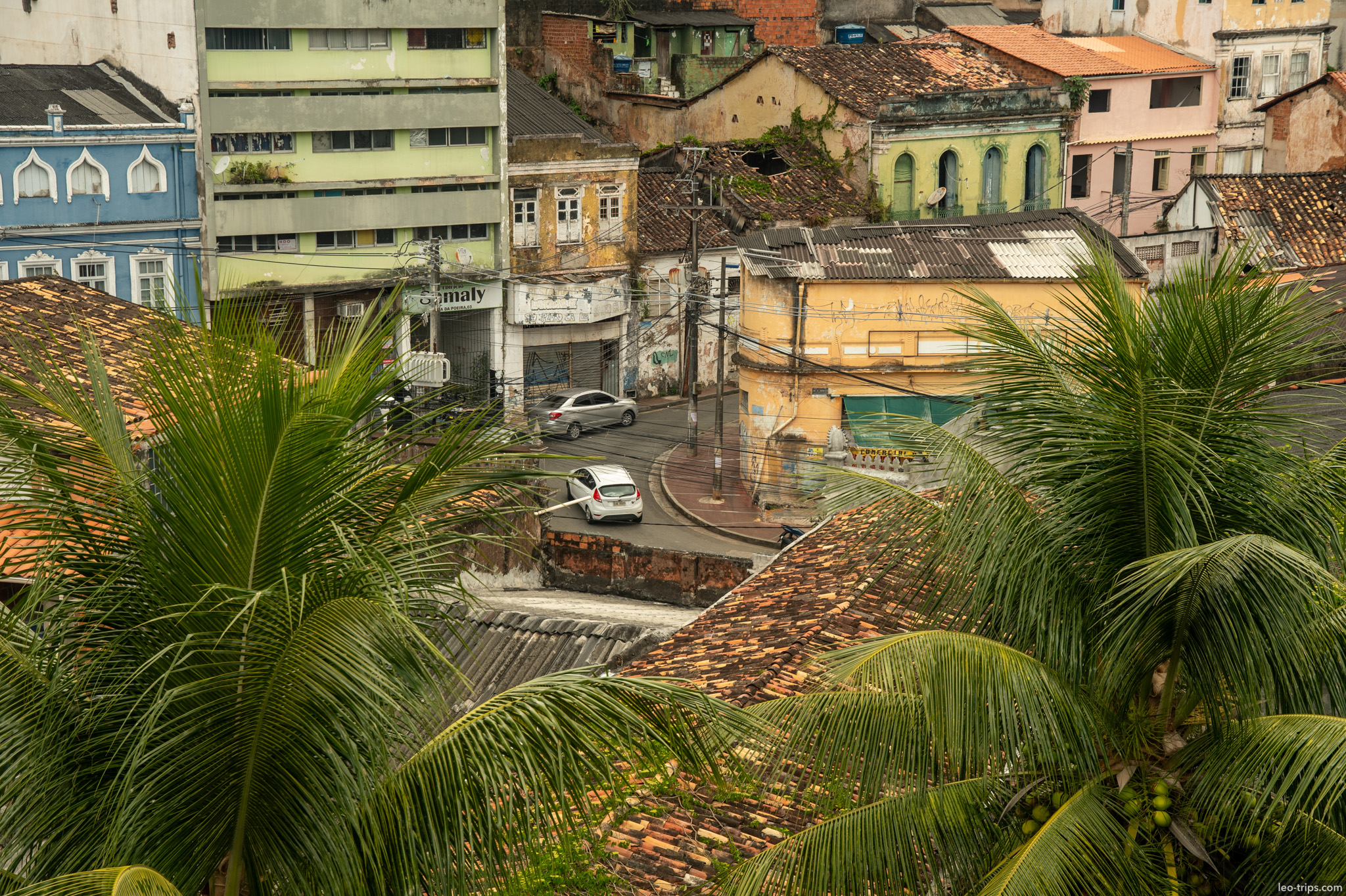 rooftops cars curved street palms old town salvador salvador