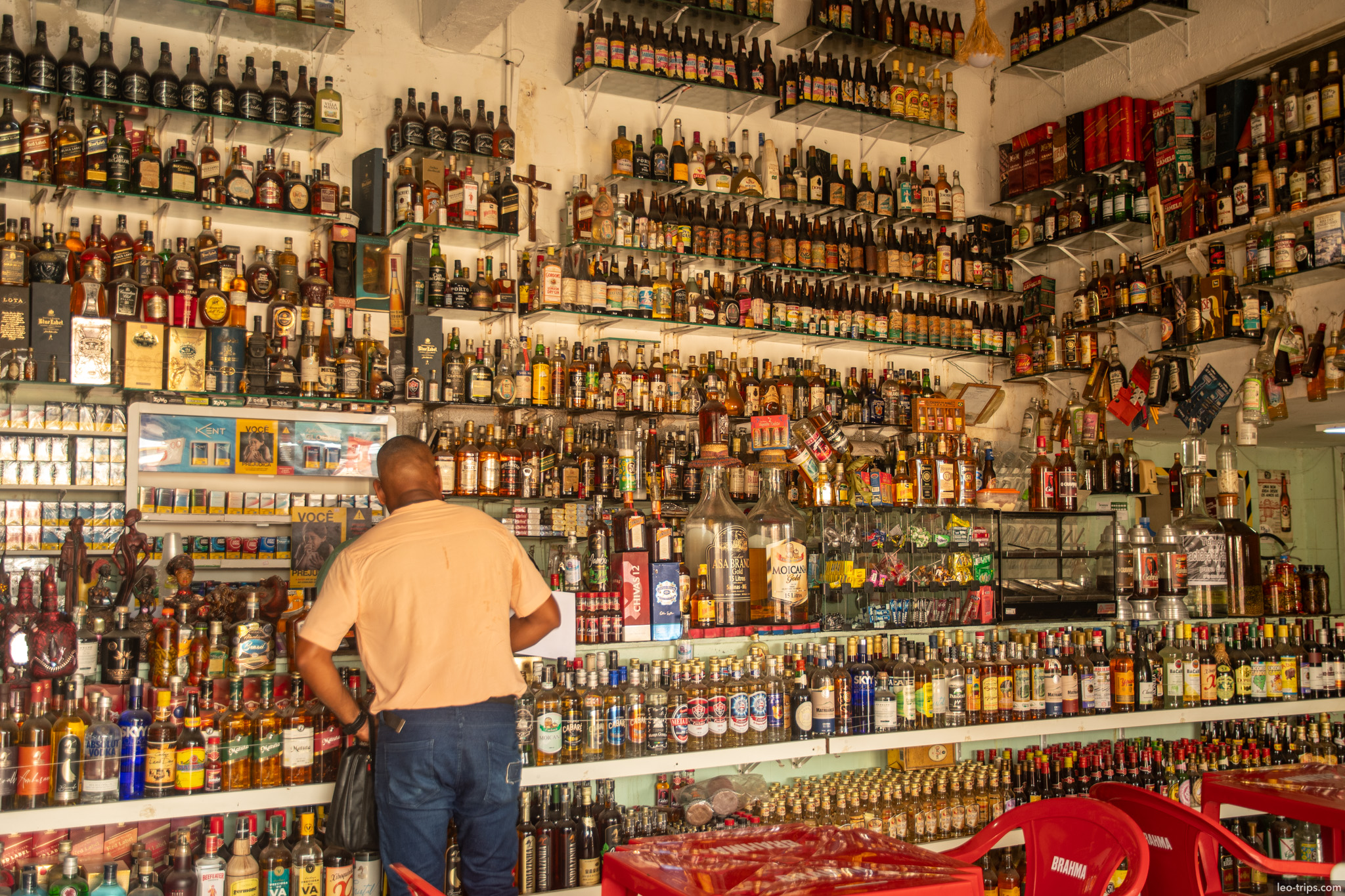 traditional liquor cachaca shop bottles wall salvador salvador
