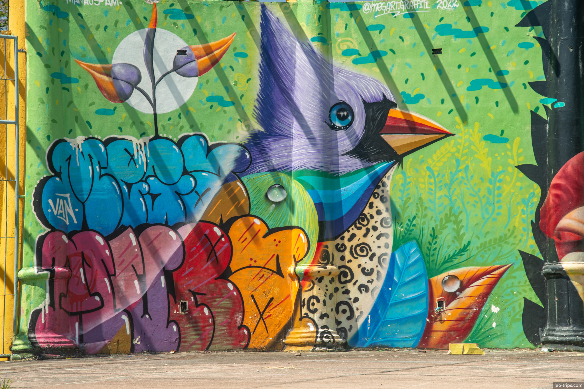 colorful street art mural santarem