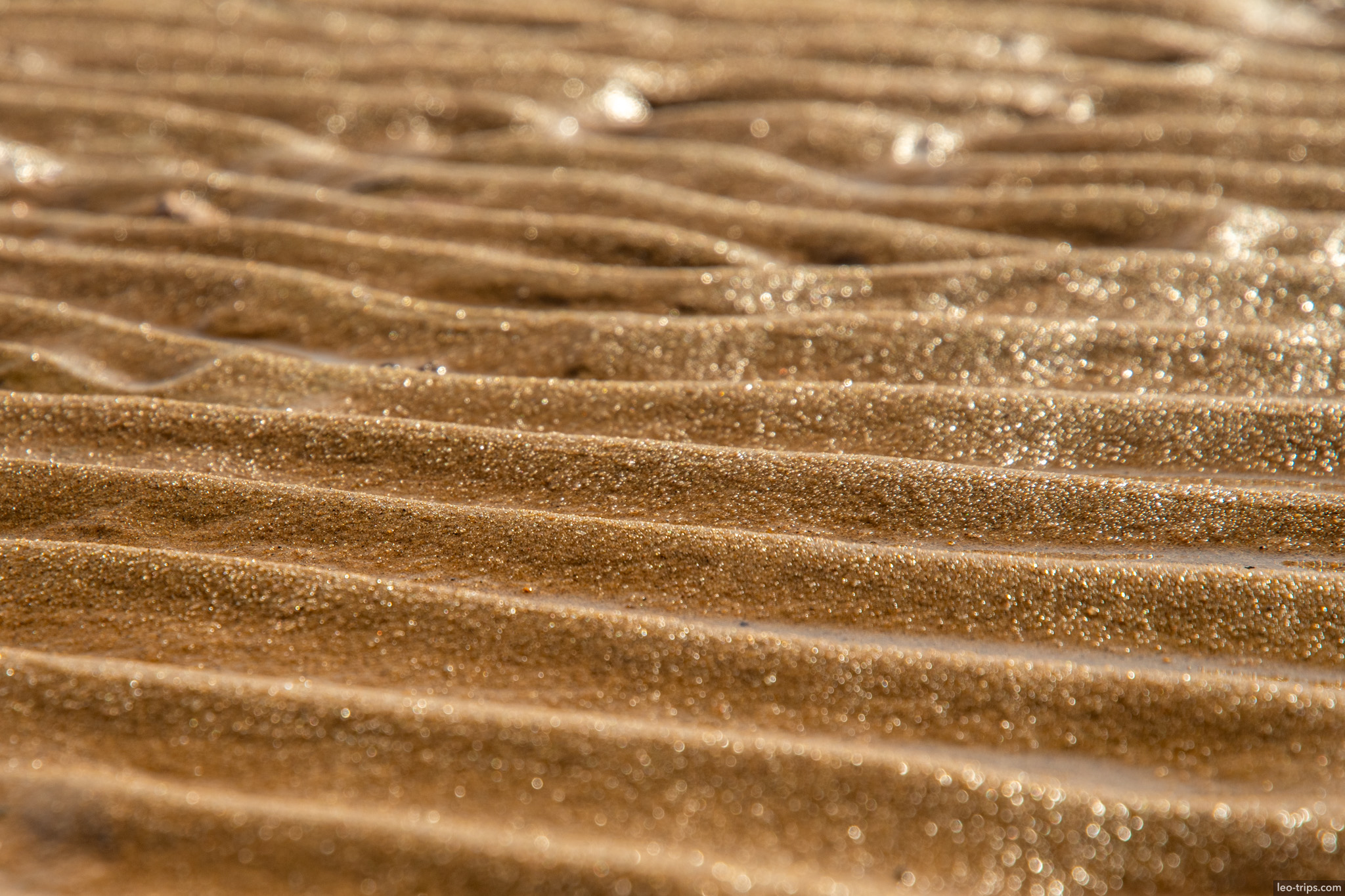 rippled sand patterns santarem