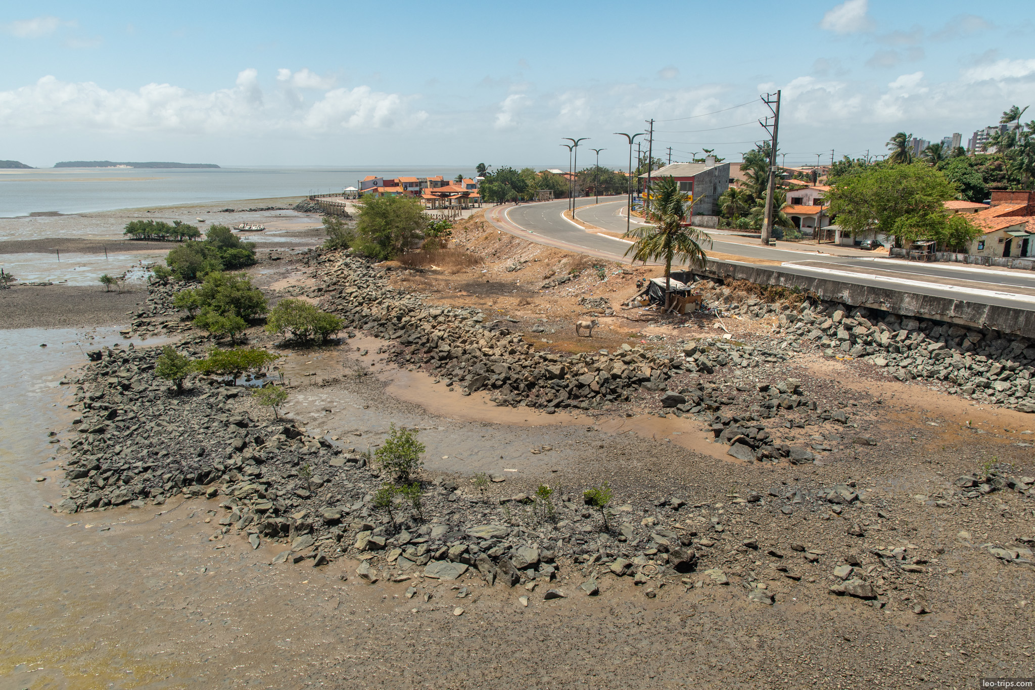 coastal road mangroves low tide sao luis