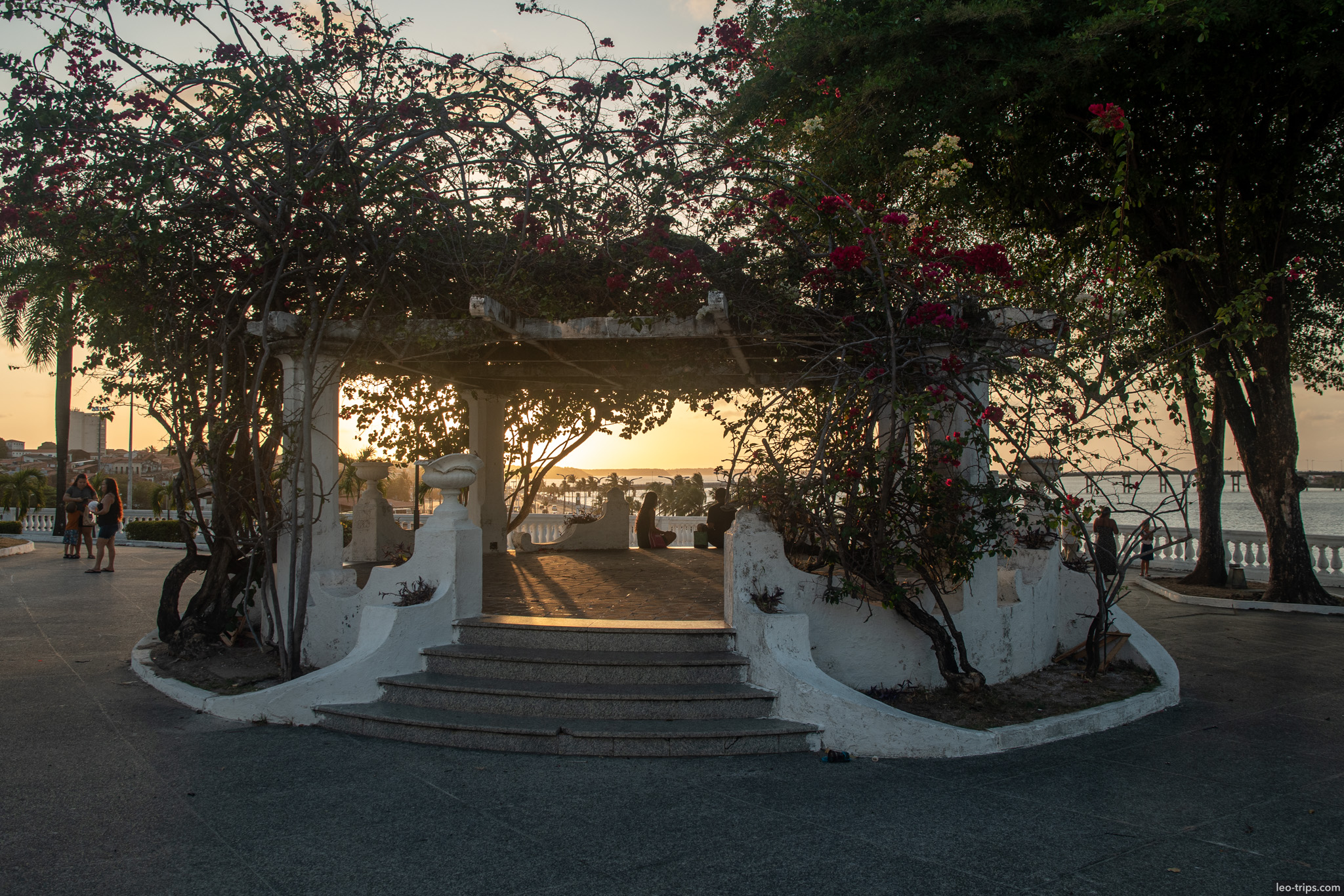 gazebo bougainvillea sunset bay sao luis