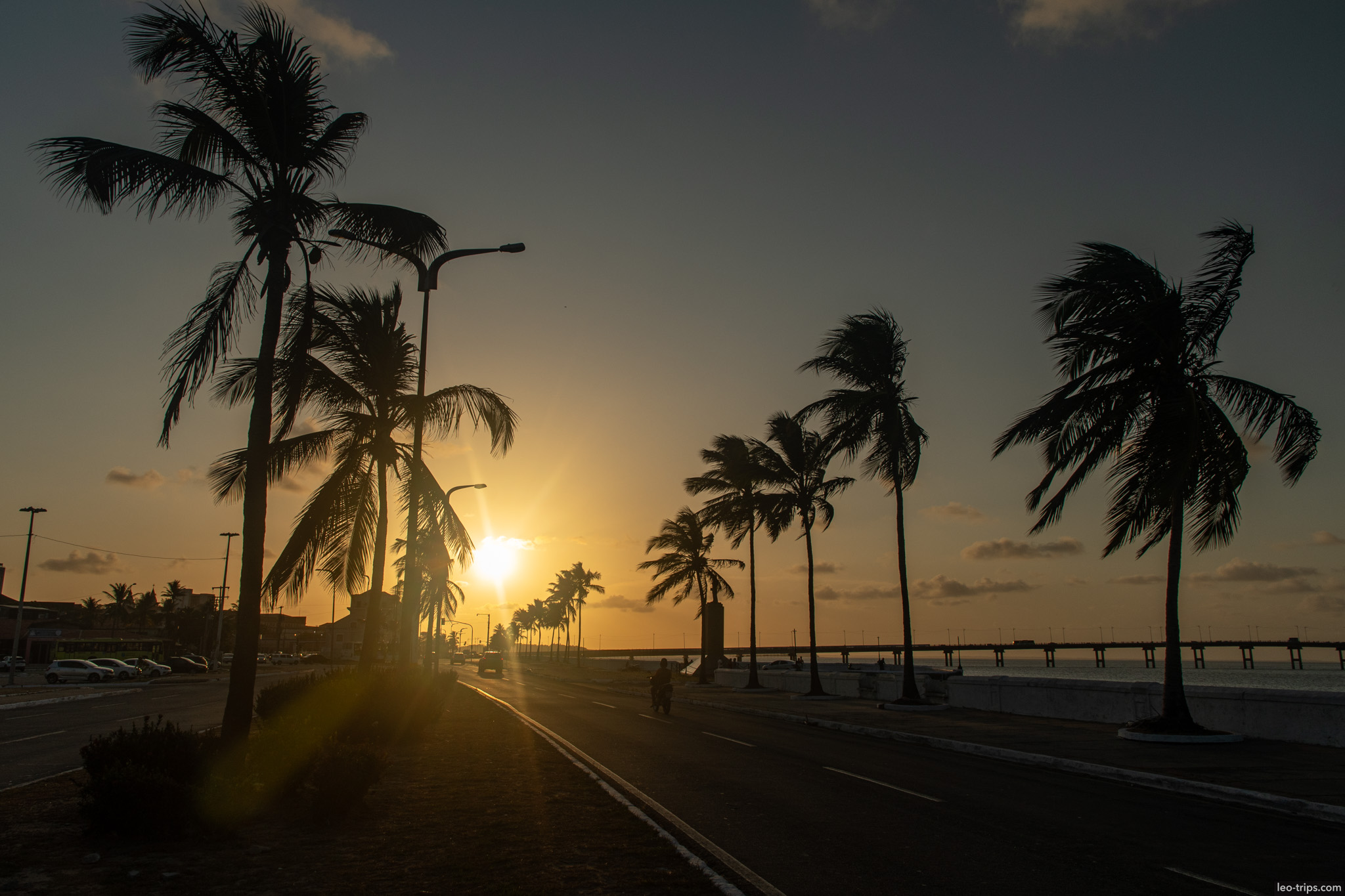 sunset palm trees coastal road sao luis