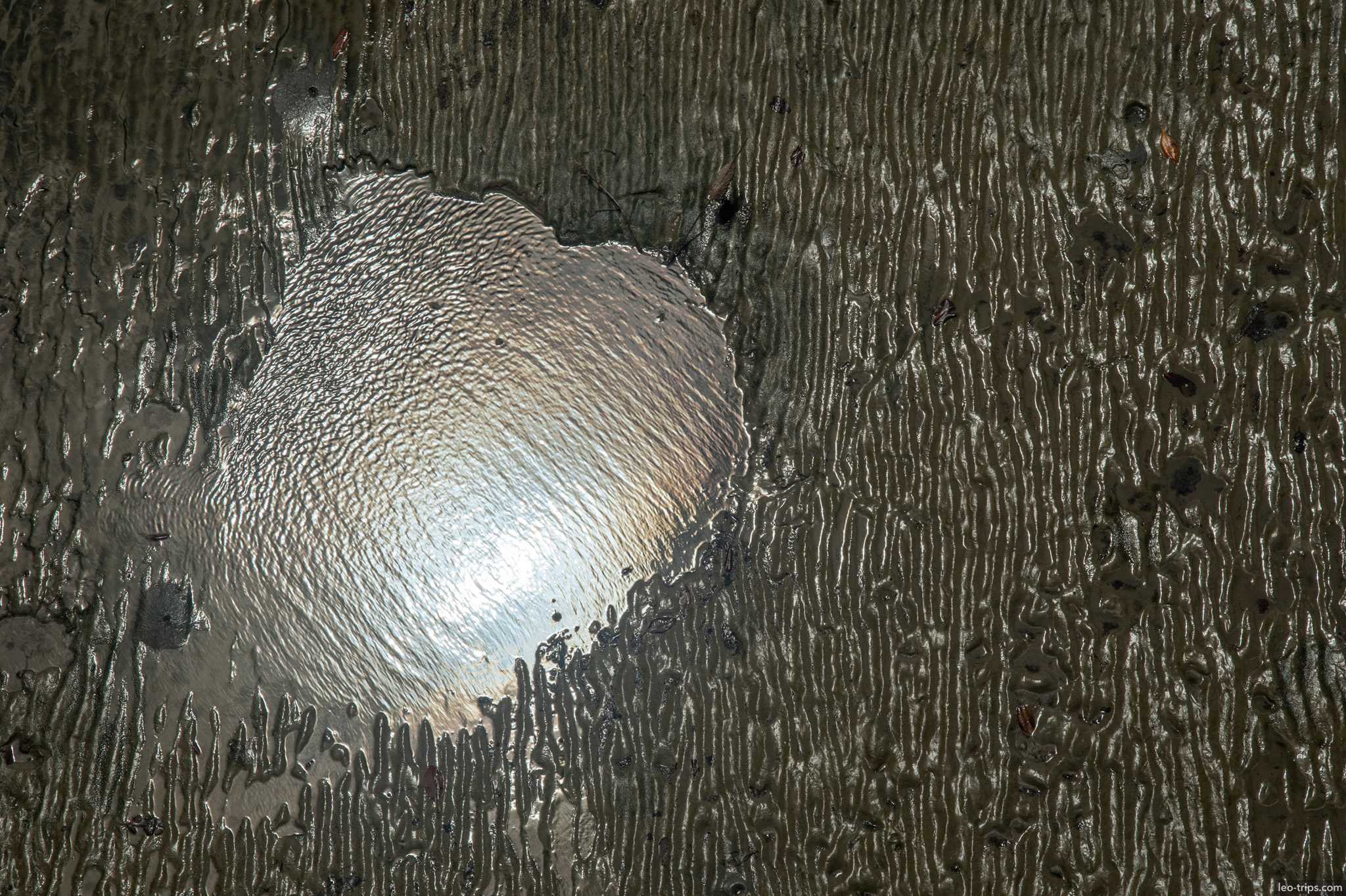 tidal mud texture water pool sao luis