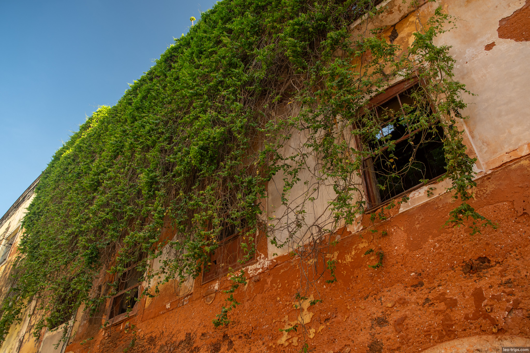 vine covered abandoned building sao luis