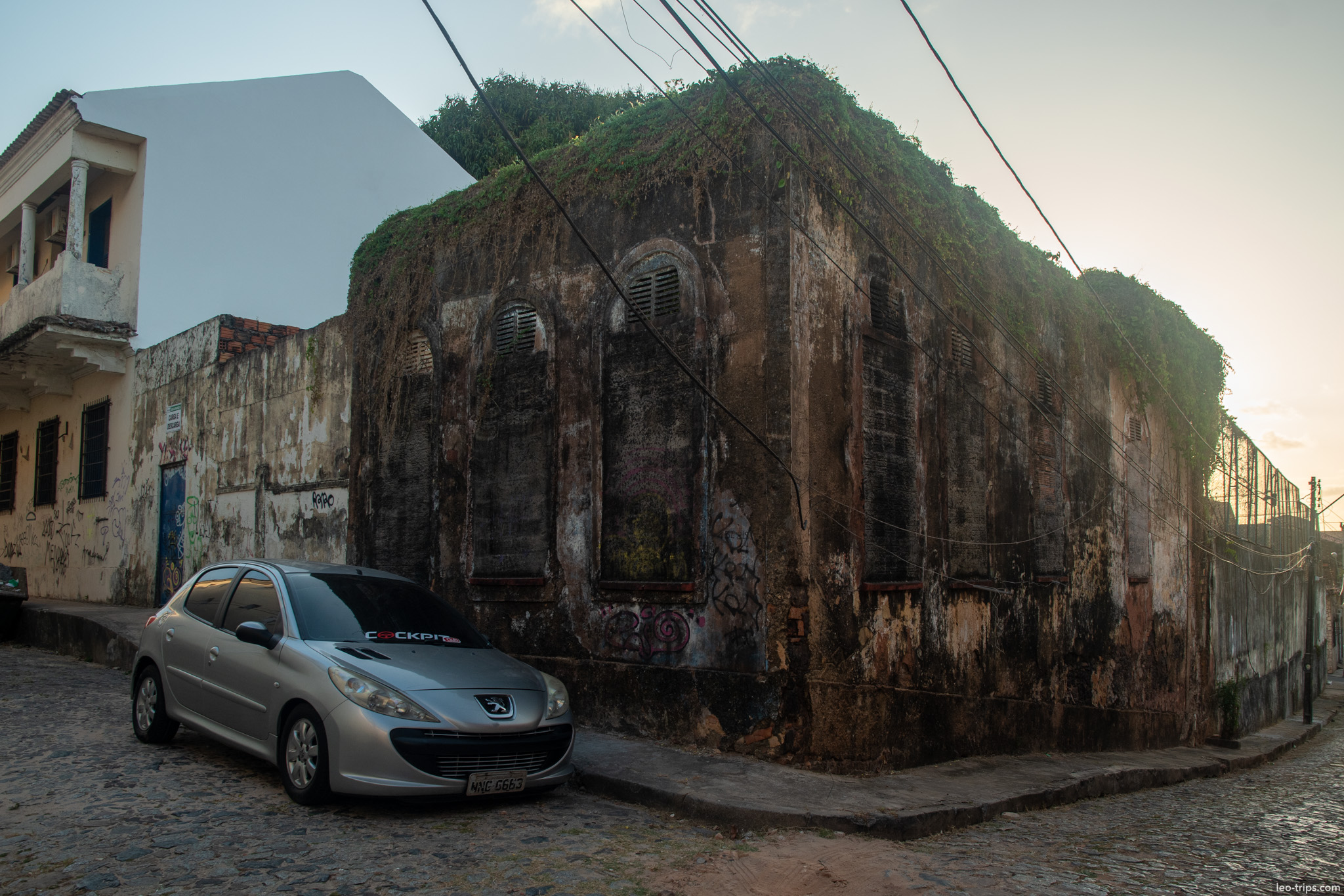 vine covered ruined corner building sao luis
