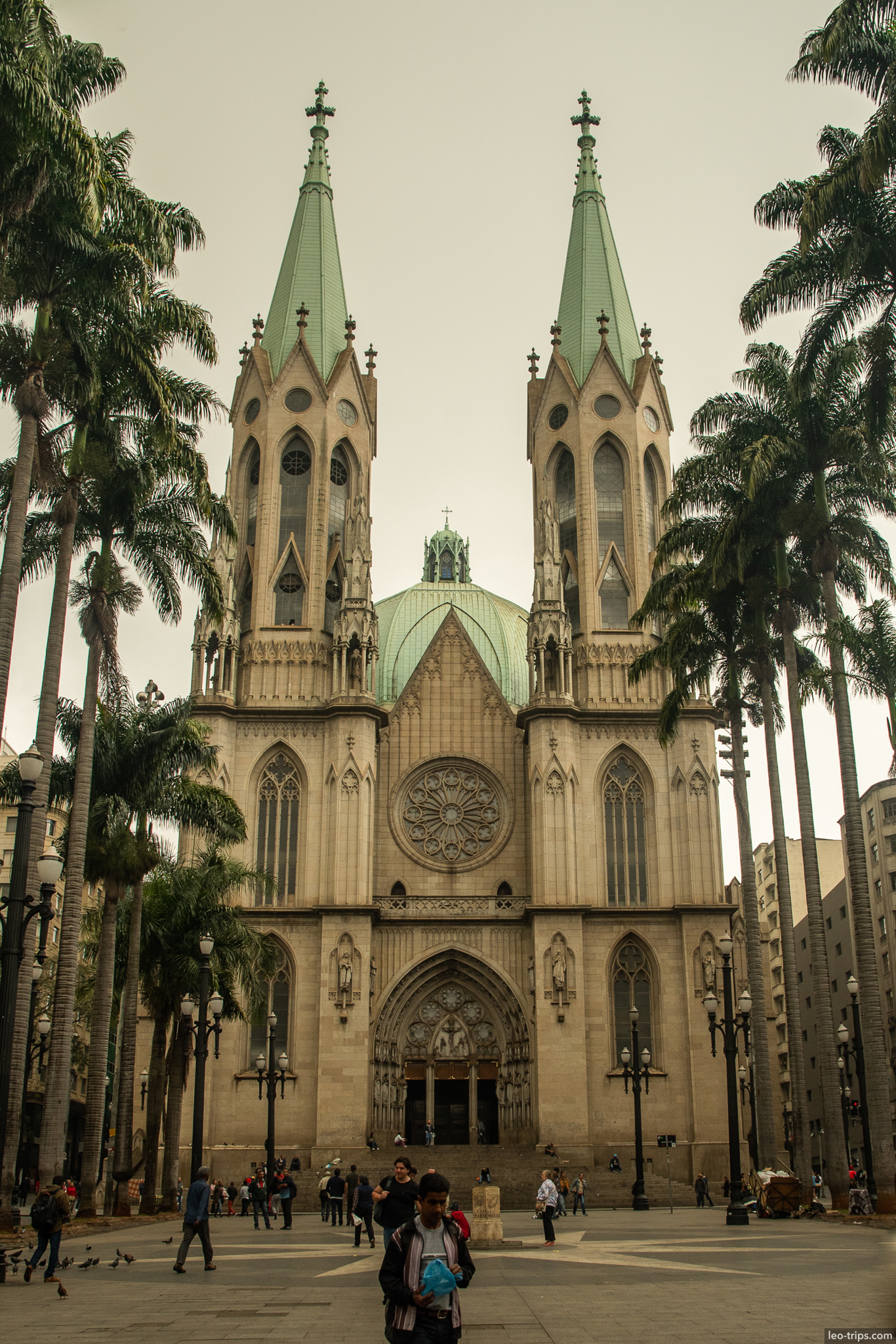 catedral da se palm trees sao paulo