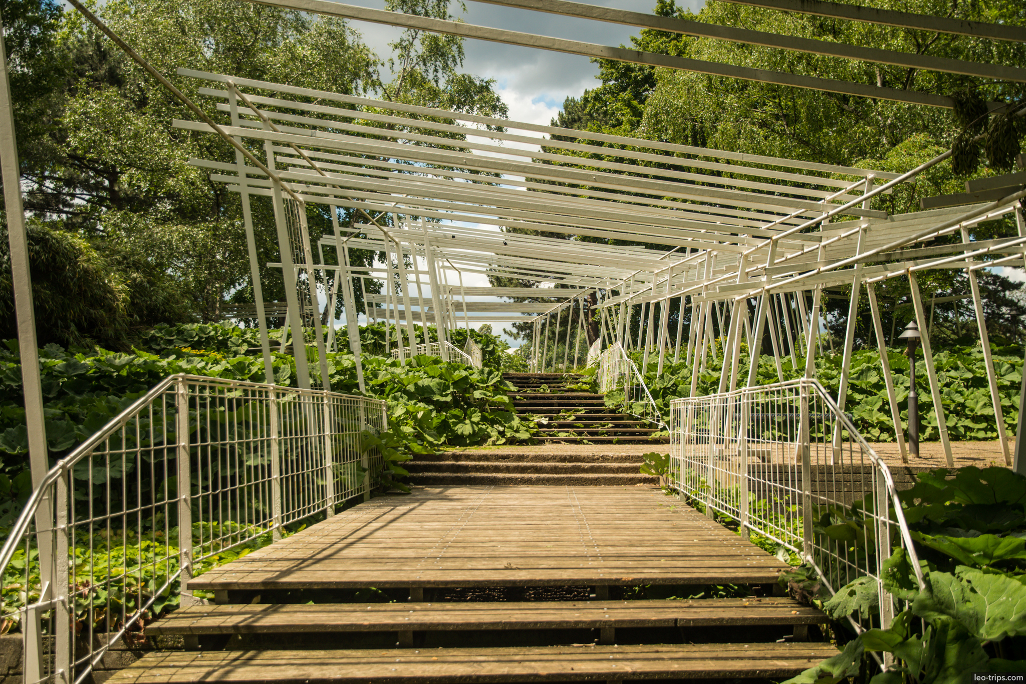 cologne botanical garden pergola walkway cologne
