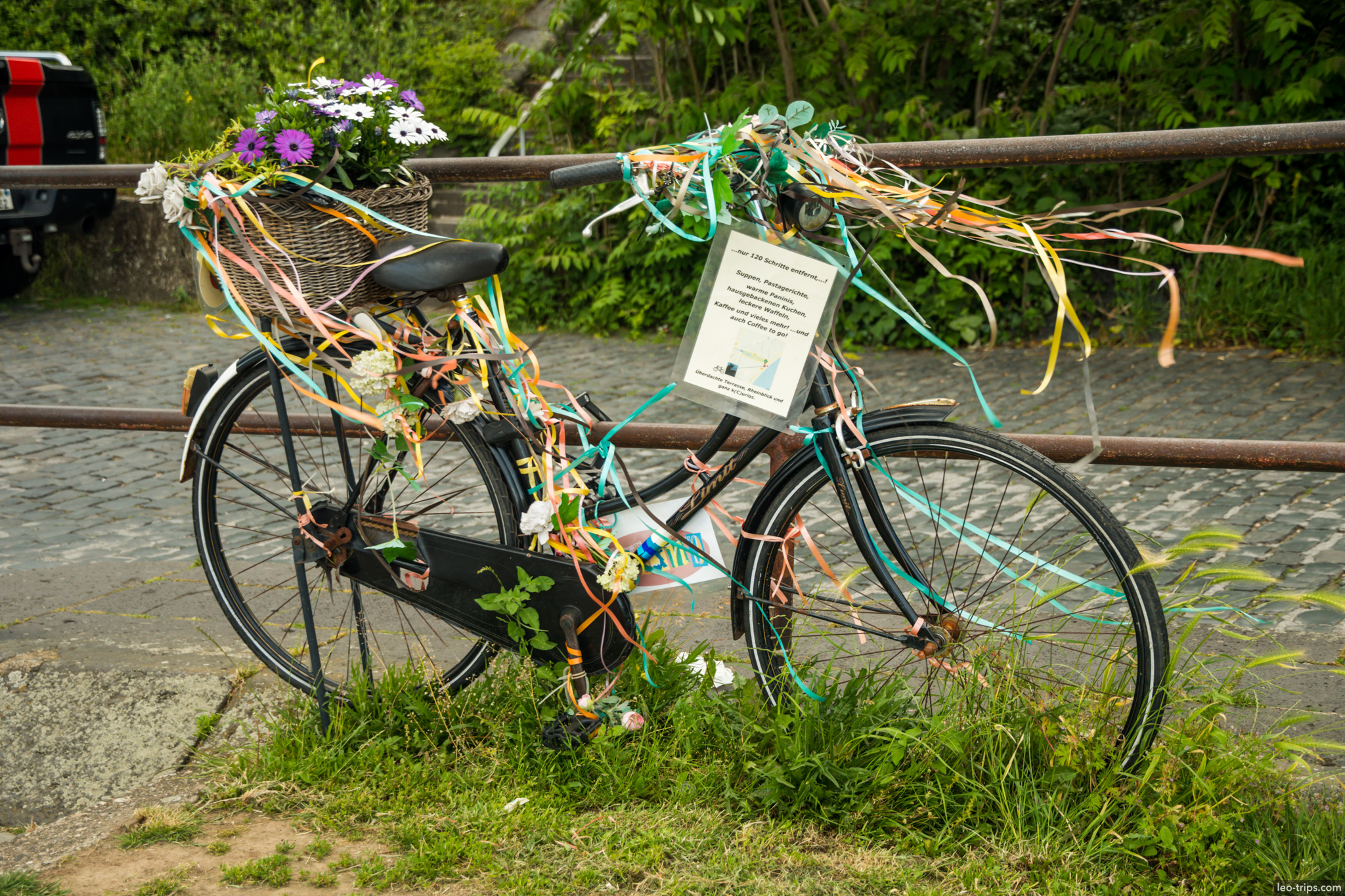 cologne decorated bicycle flowers ribbons cologne