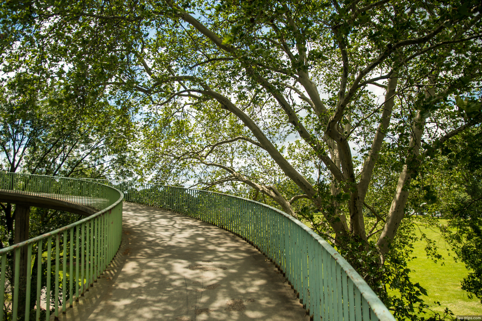 cologne park curved bridge green railing cologne