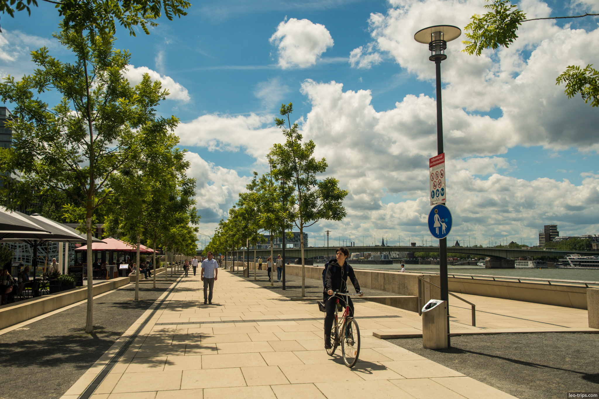 cologne rhine promenade cyclist sunny day cologne