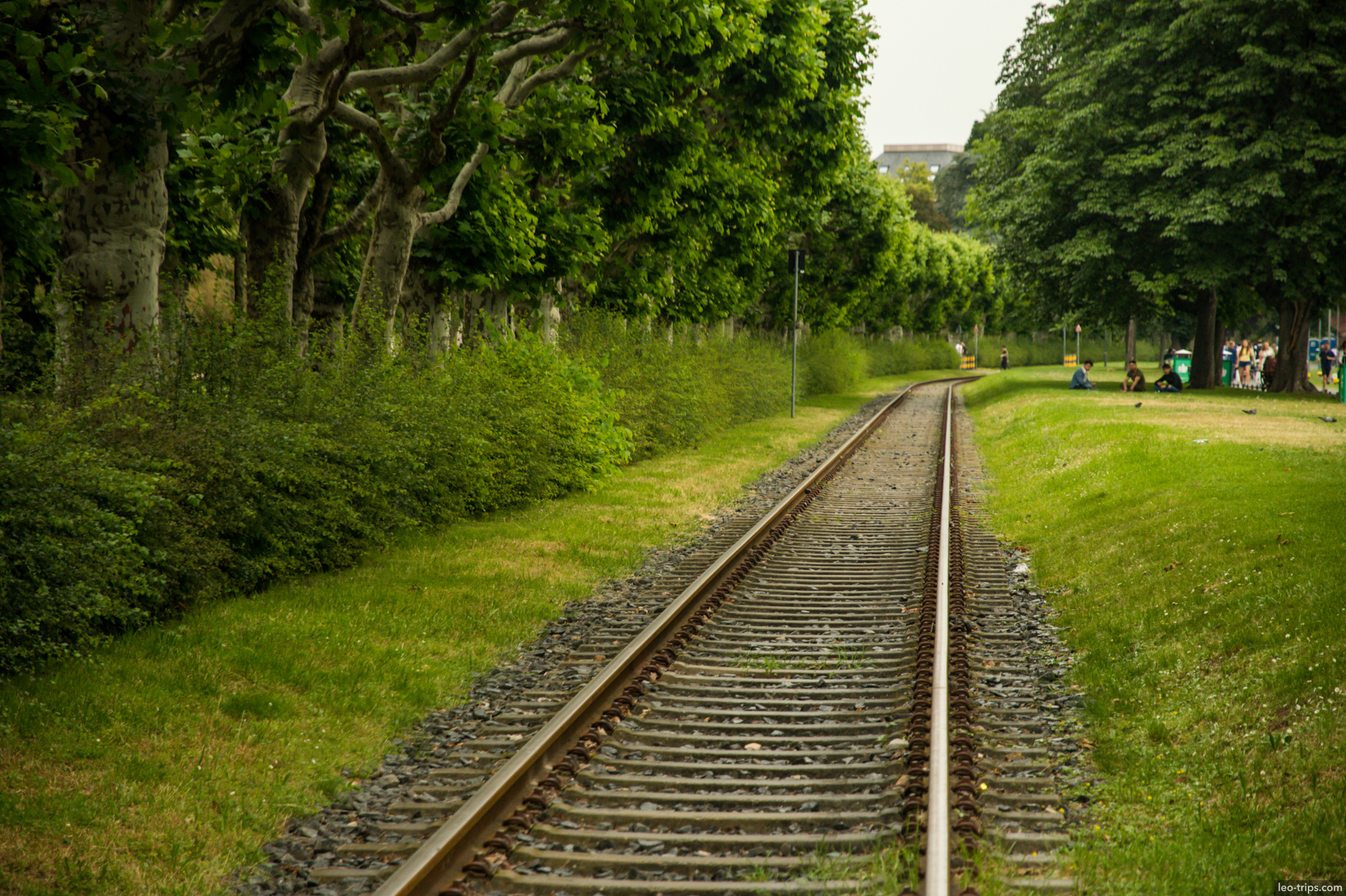 park railway track green alley frankfurt