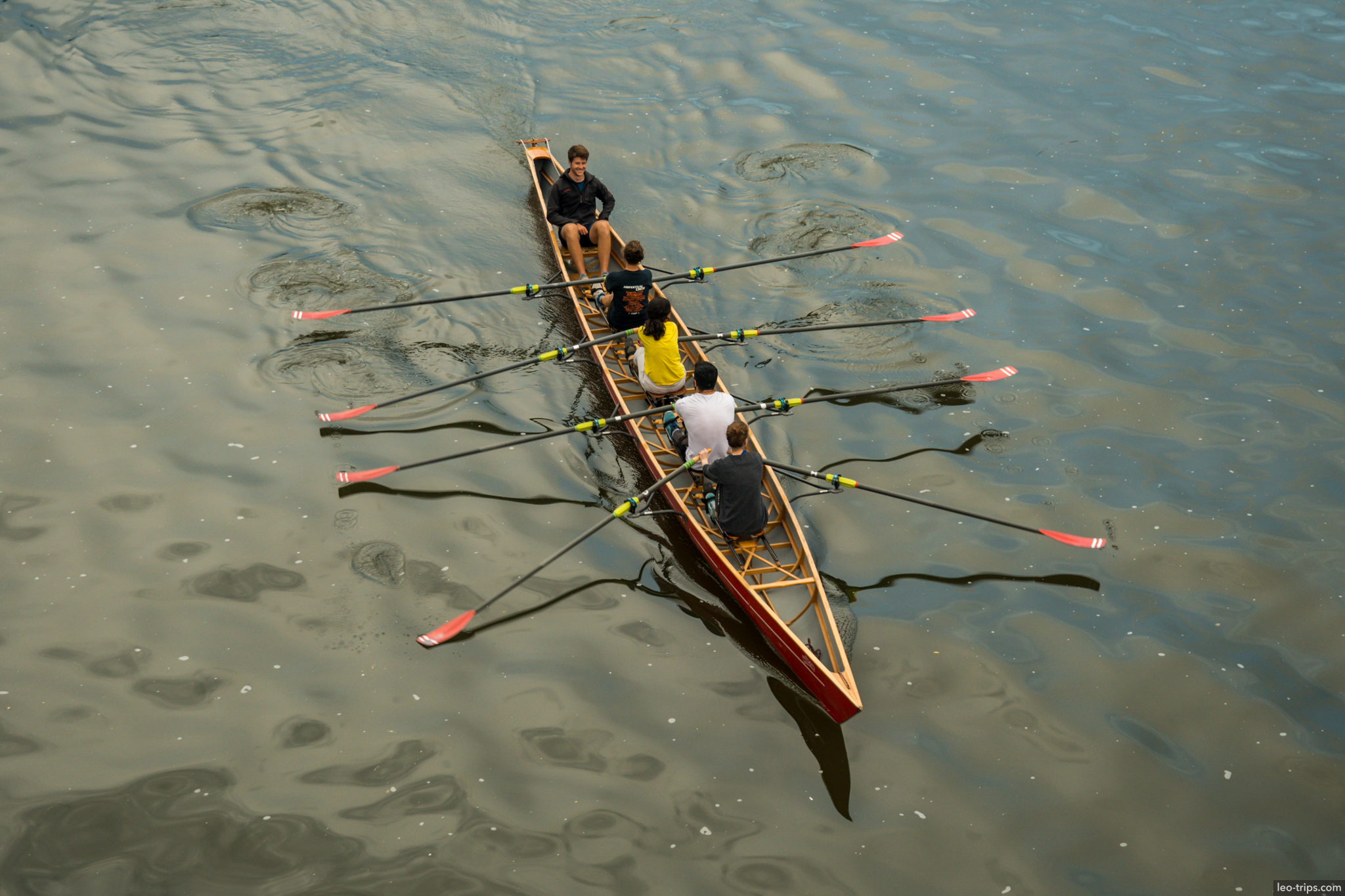 rowing team scull main river aerial frankfurt