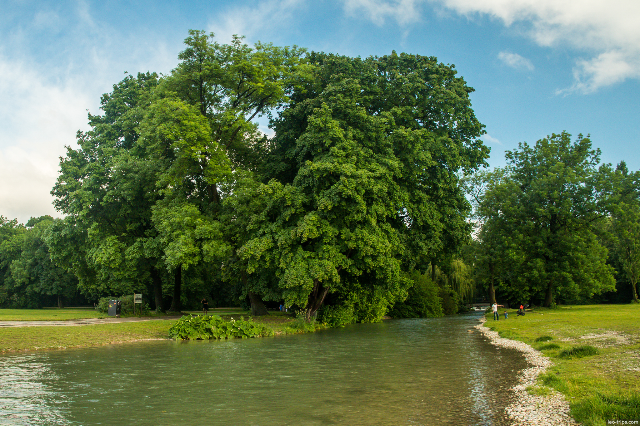 englischer garten river island large tree munich