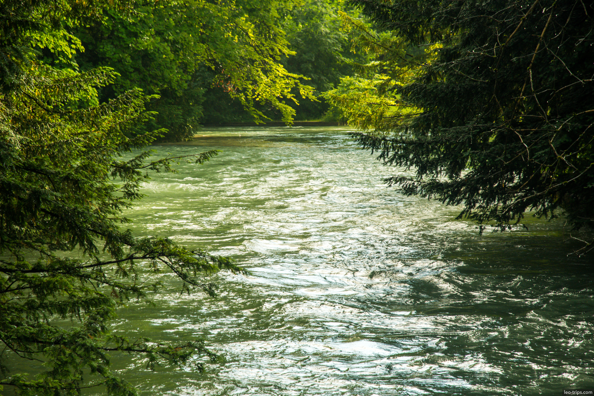 isar river green water trees englischer garten munich