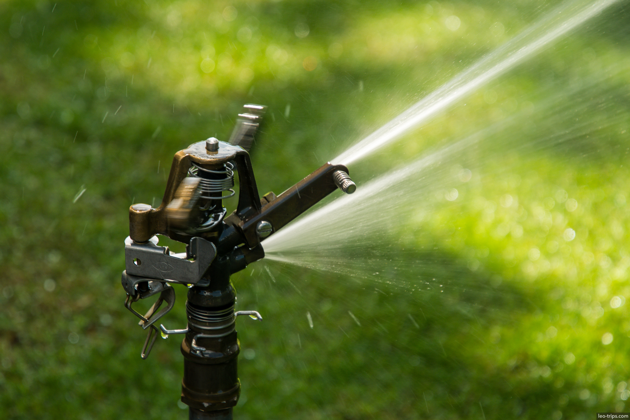 garden sprinkler green grass nuremberg
