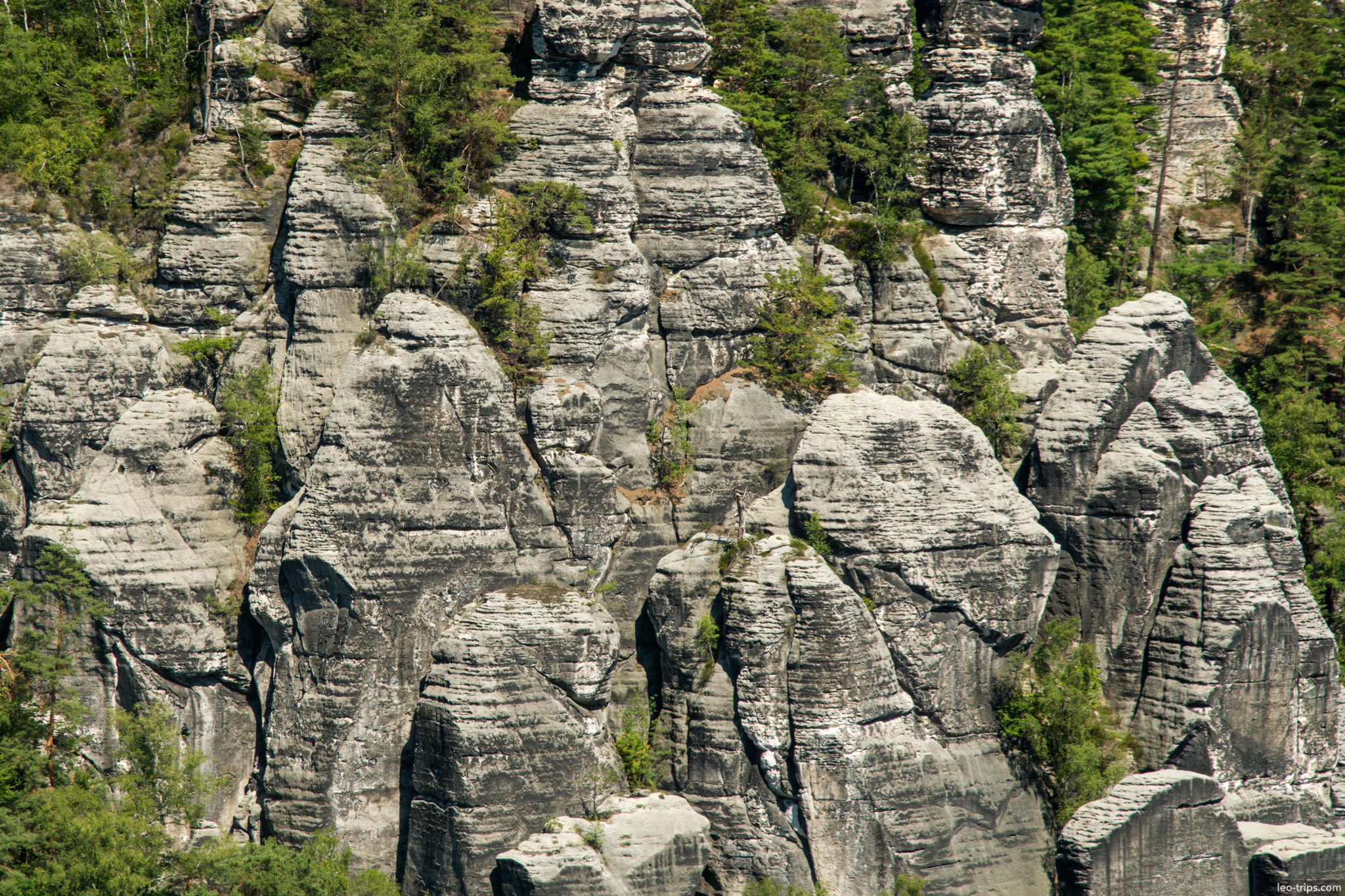 bastei sandstone columns layered rock closeup saxon switzerland national park