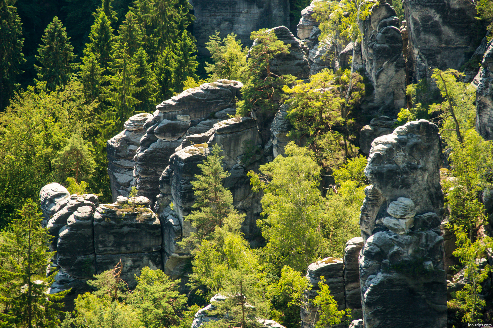 bastei sandstone rock pillars closeup saxon switzerland national park