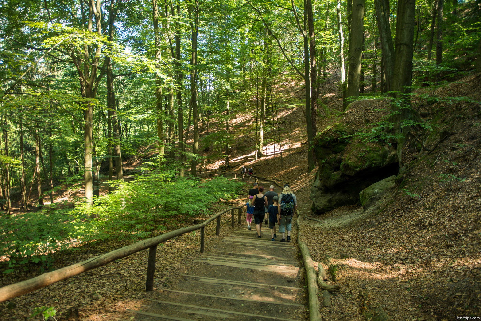 hikers wooden staircase beech forest bastei saxon switzerland national park