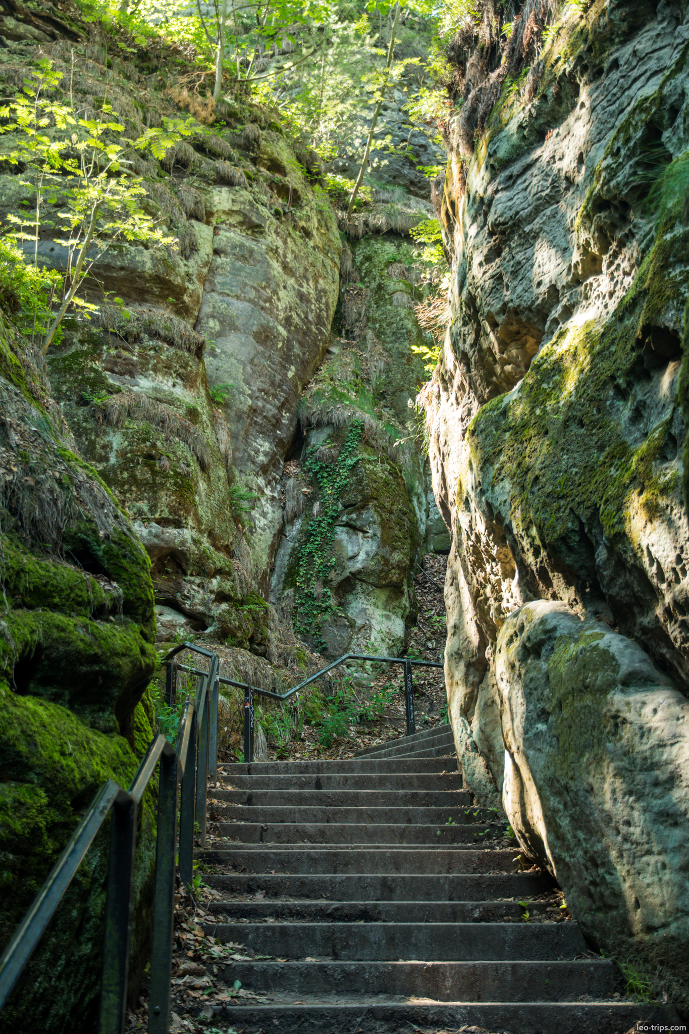 rocky gorge staircase path bastei saxon switzerland national park