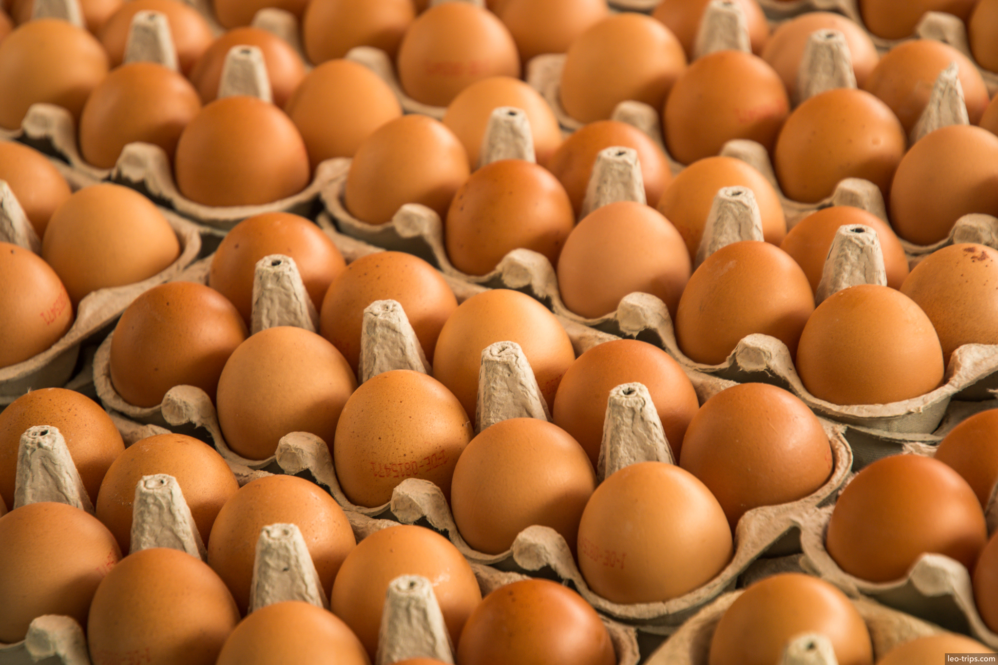fresh eggs farmers market schillerplatz stuttgart
