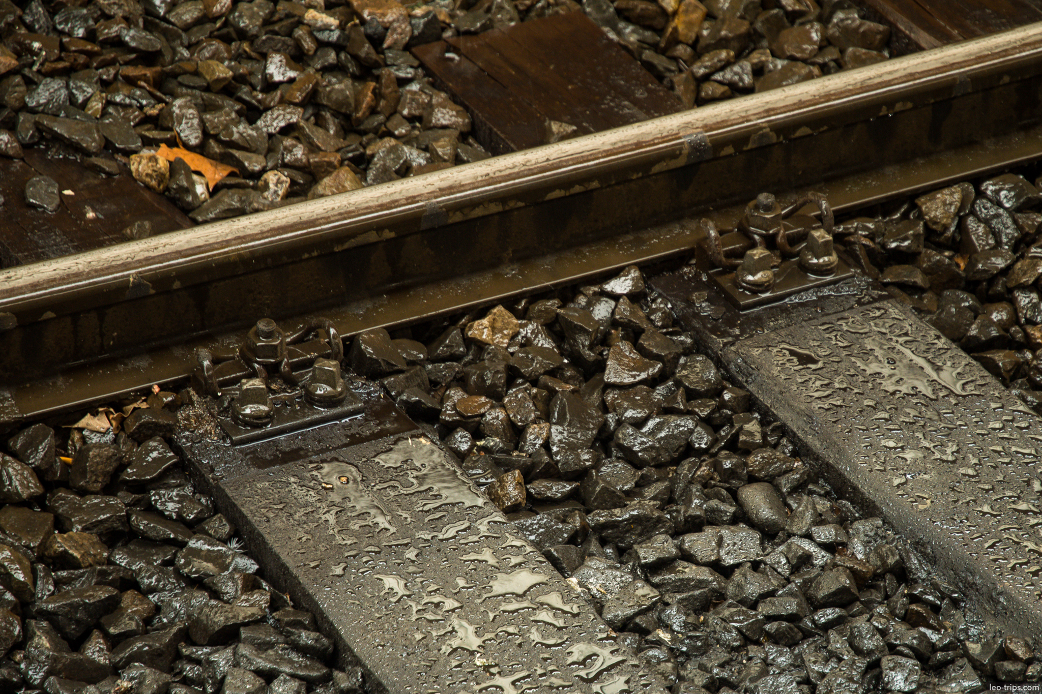 wet railway tracks closeup after rain stuttgart stuttgart
