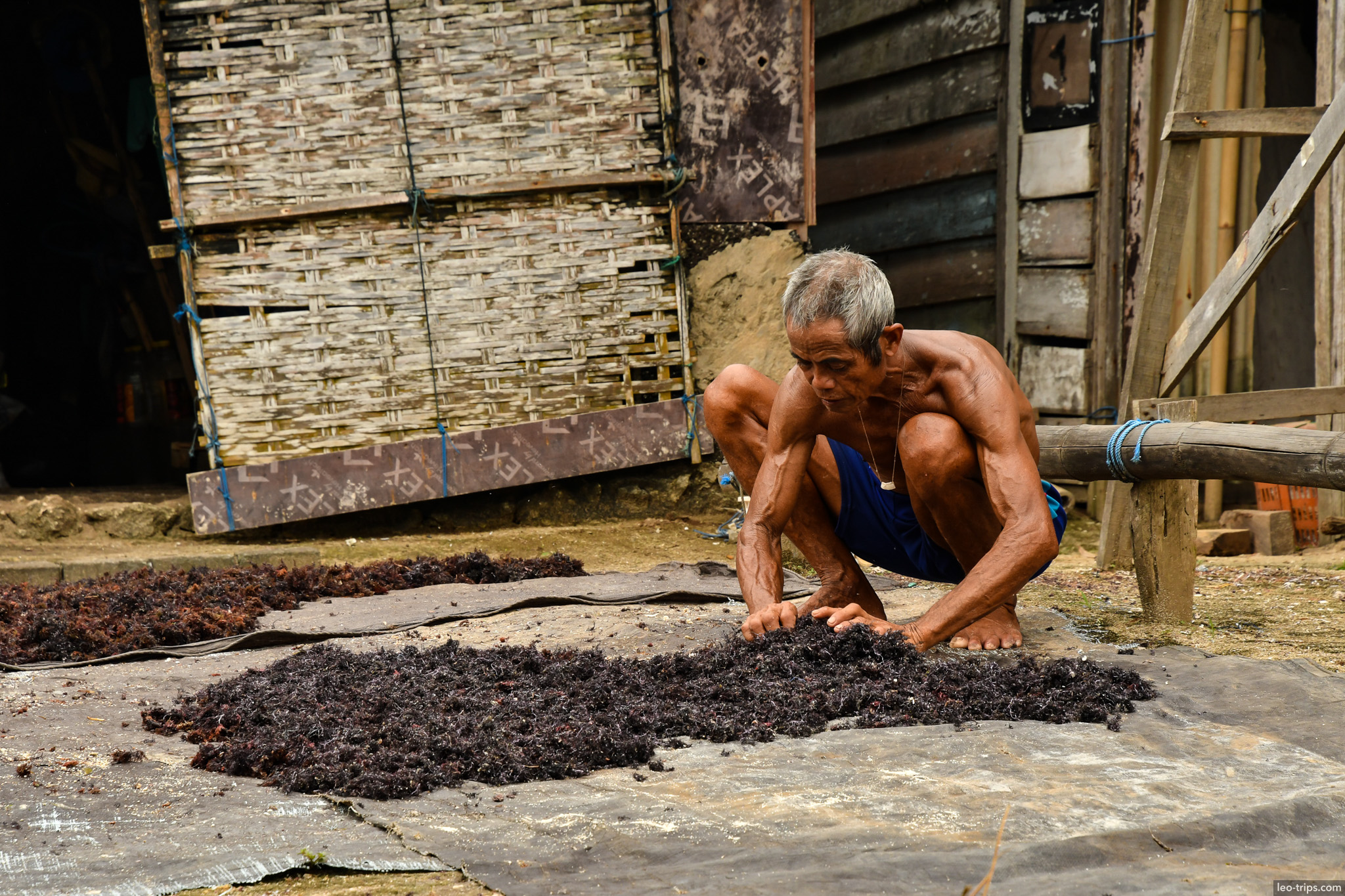 elderly man drying seaweed on ground bali