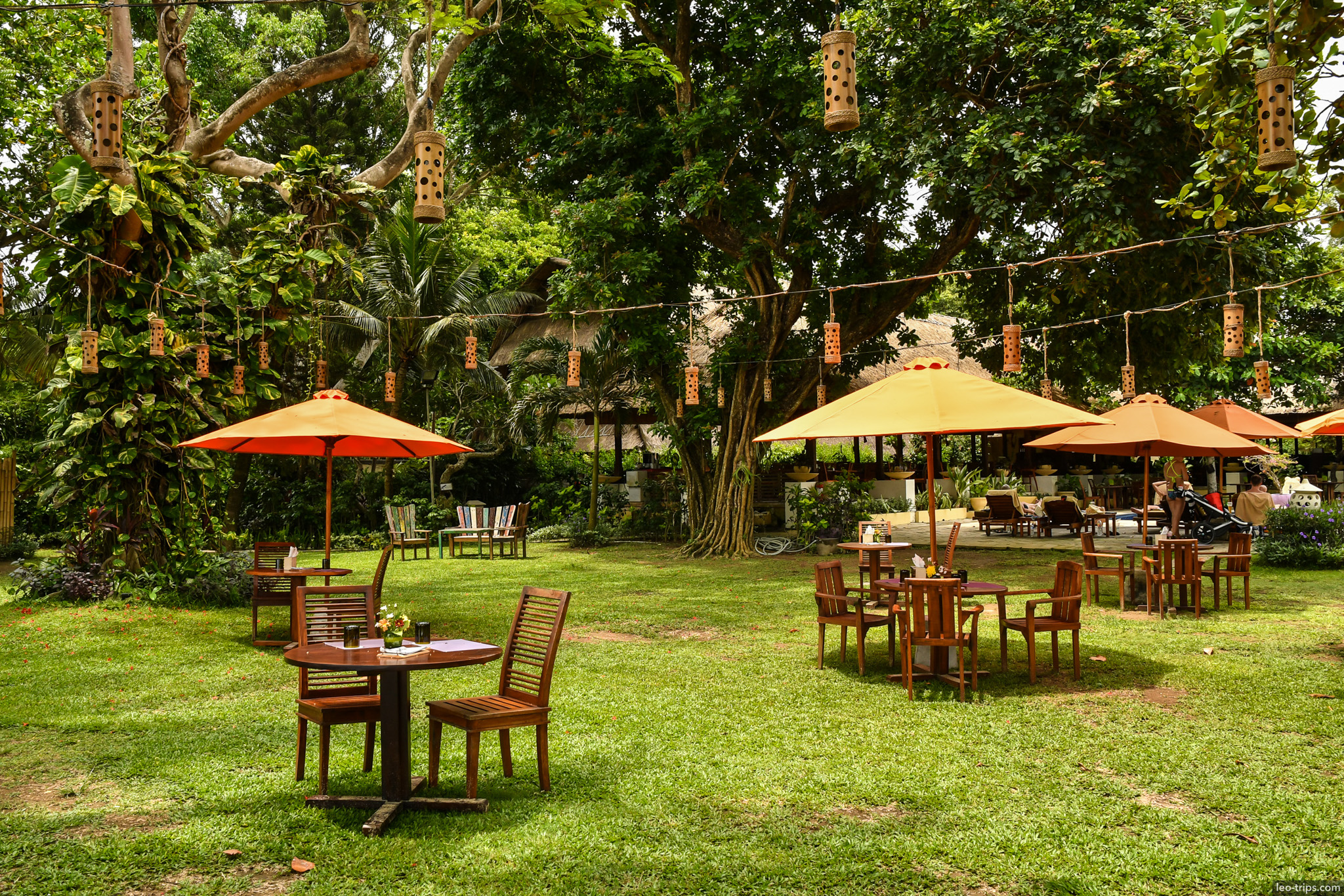 garden cafe under banyan tree with lanterns bali
