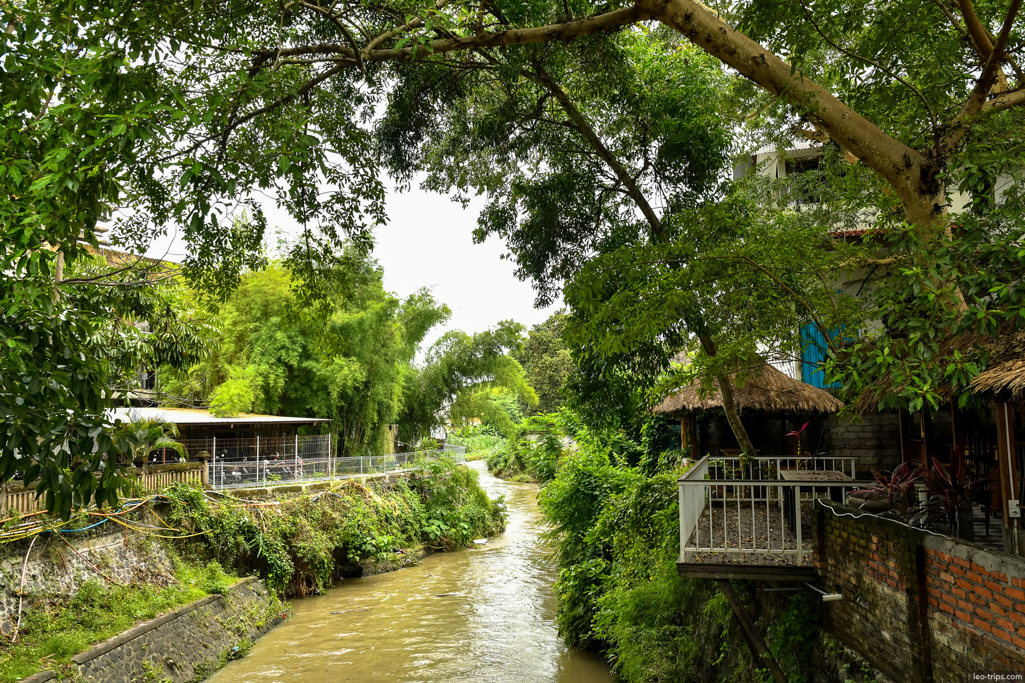 green river canal with overhanging trees bali