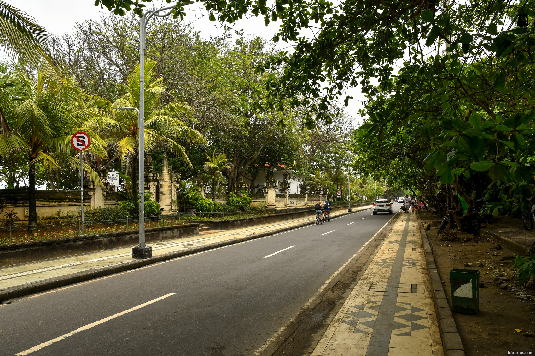 palm lined boulevard with cyclist bali