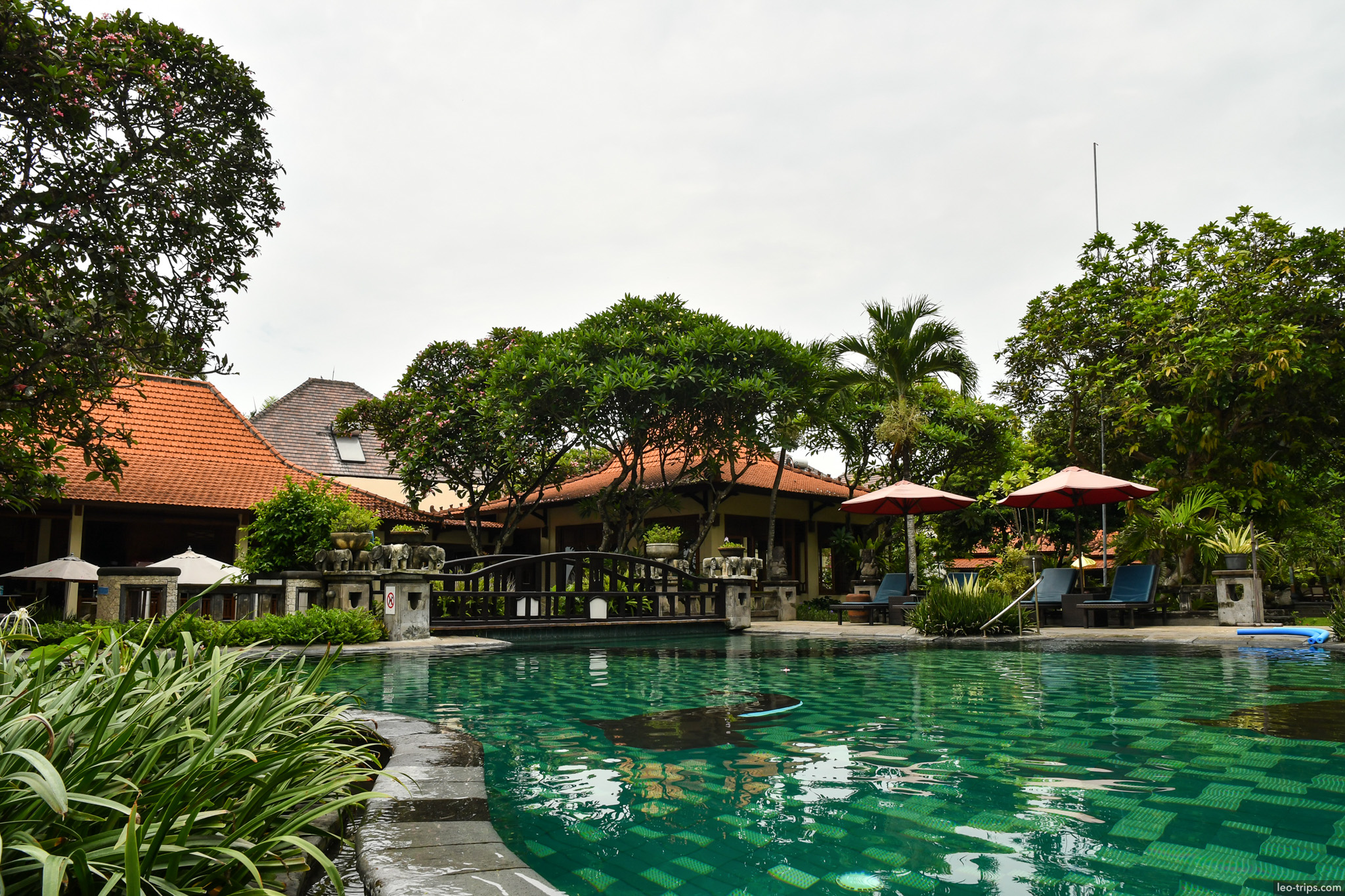 tropical resort pool with frangipani trees bali