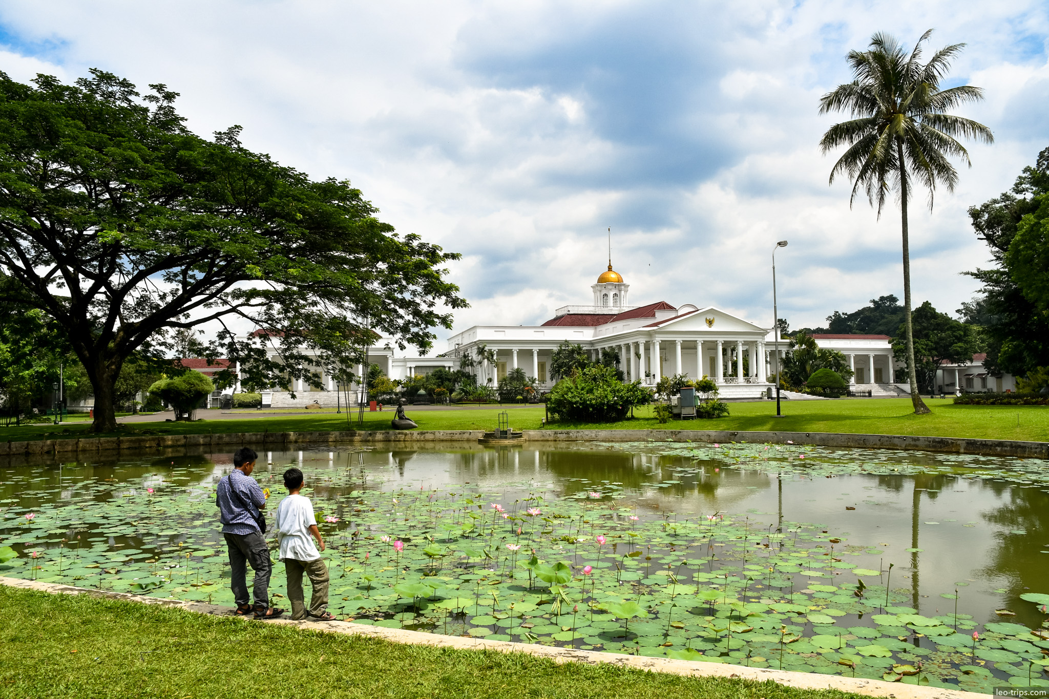 bogor presidential palace lotus pond bogor