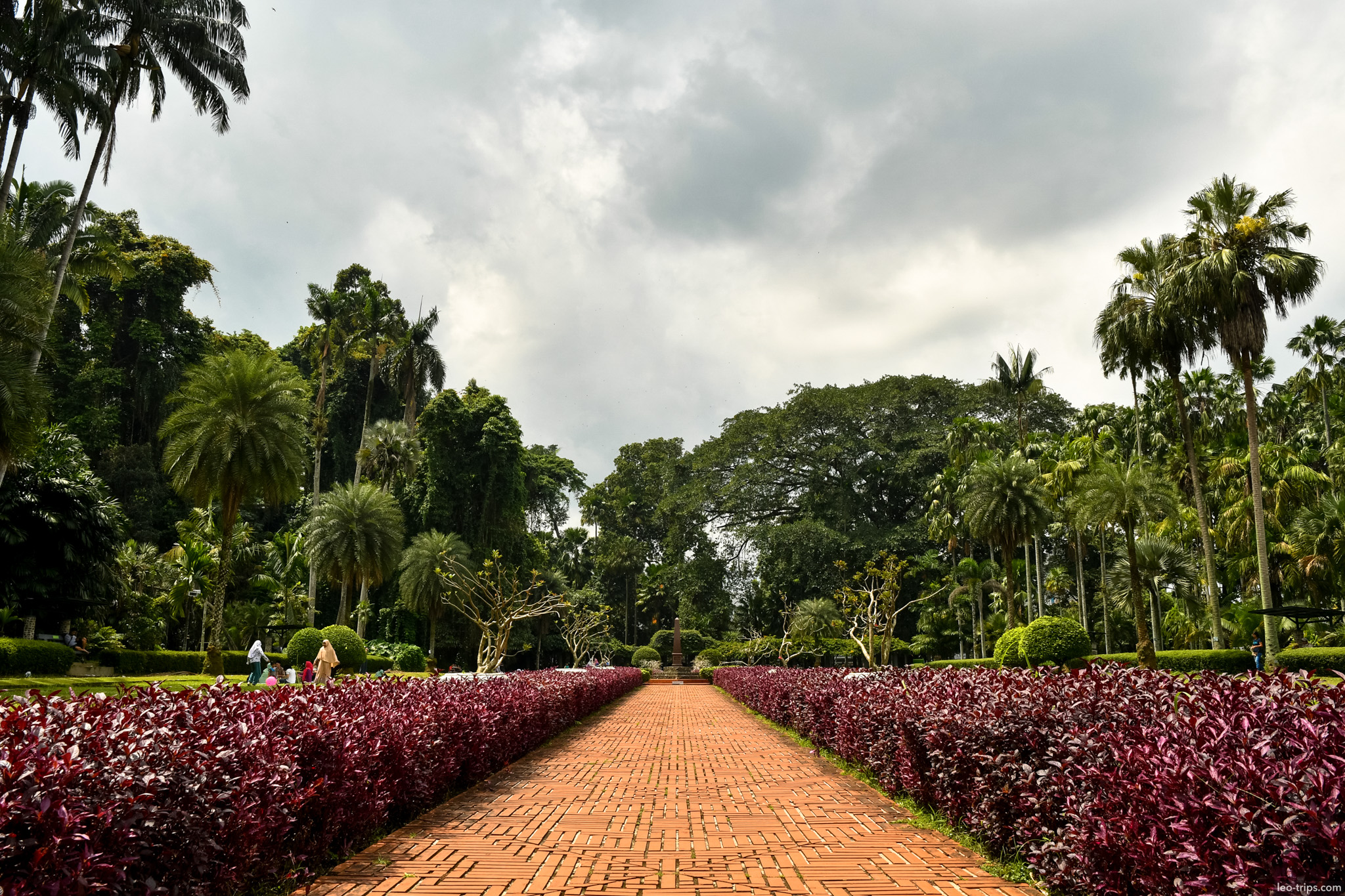 brick walkway red hedges bogor botanical garden bogor