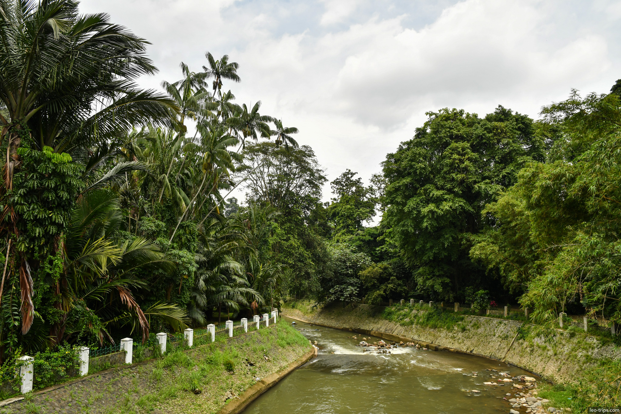 ciliwung river flowing through bogor botanical garden bogor
