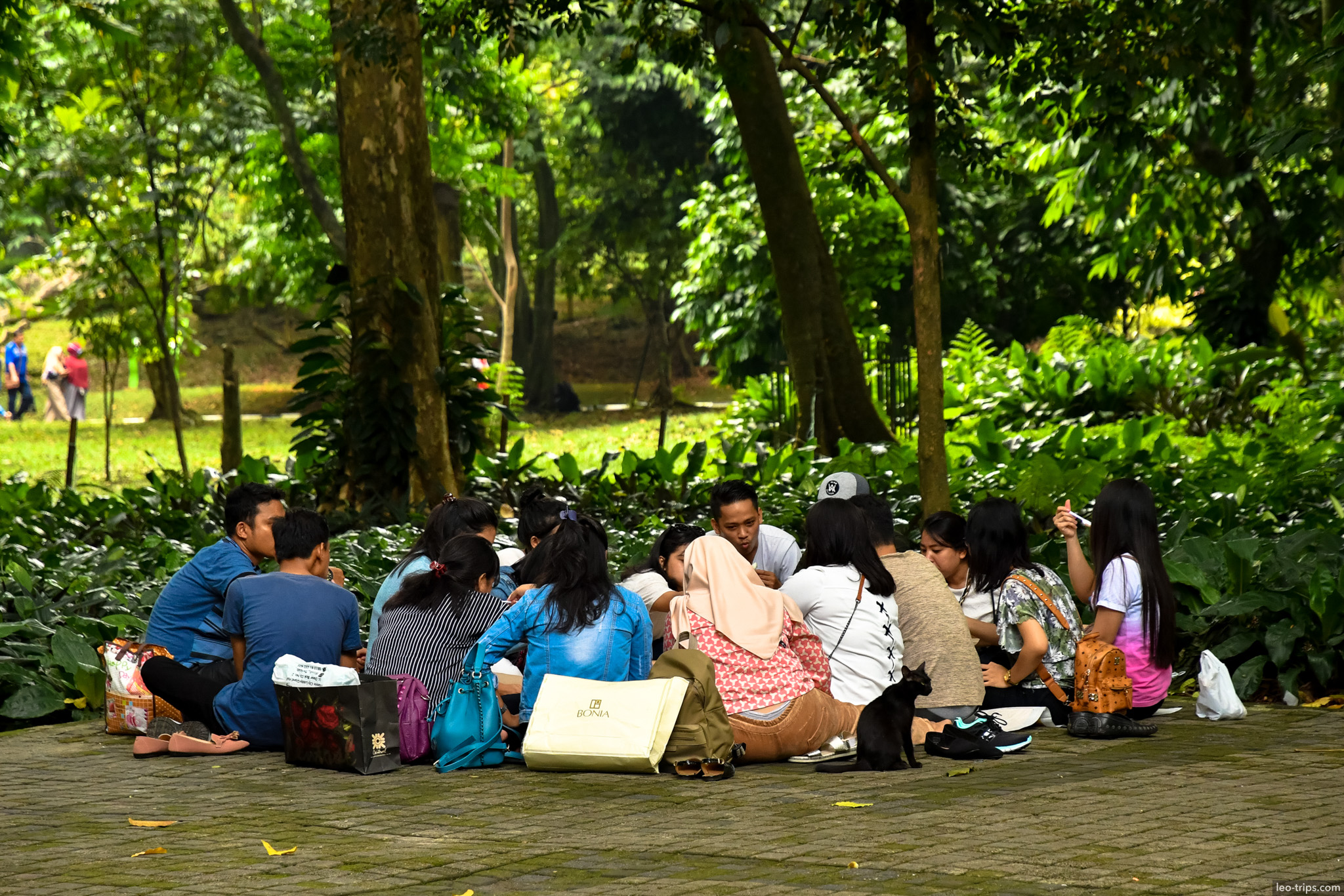 group picnic under trees bogor botanical garden bogor