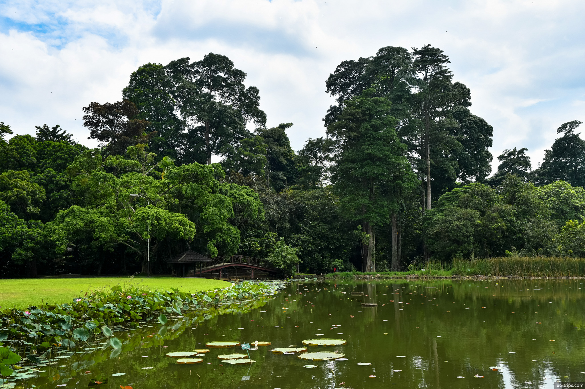 lake with lily pads gazebo bogor botanical garden bogor
